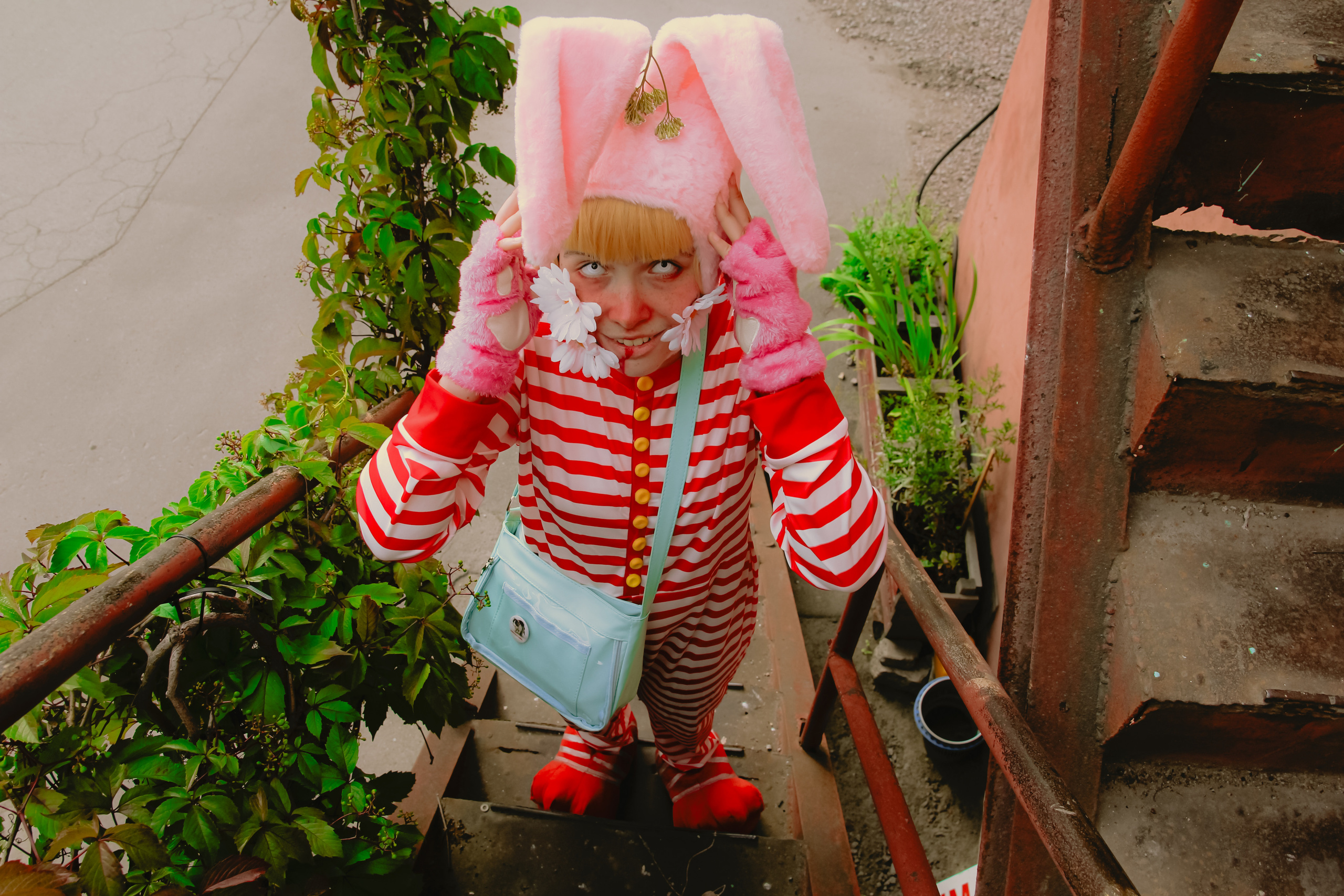 Поппи 🐰. Главная