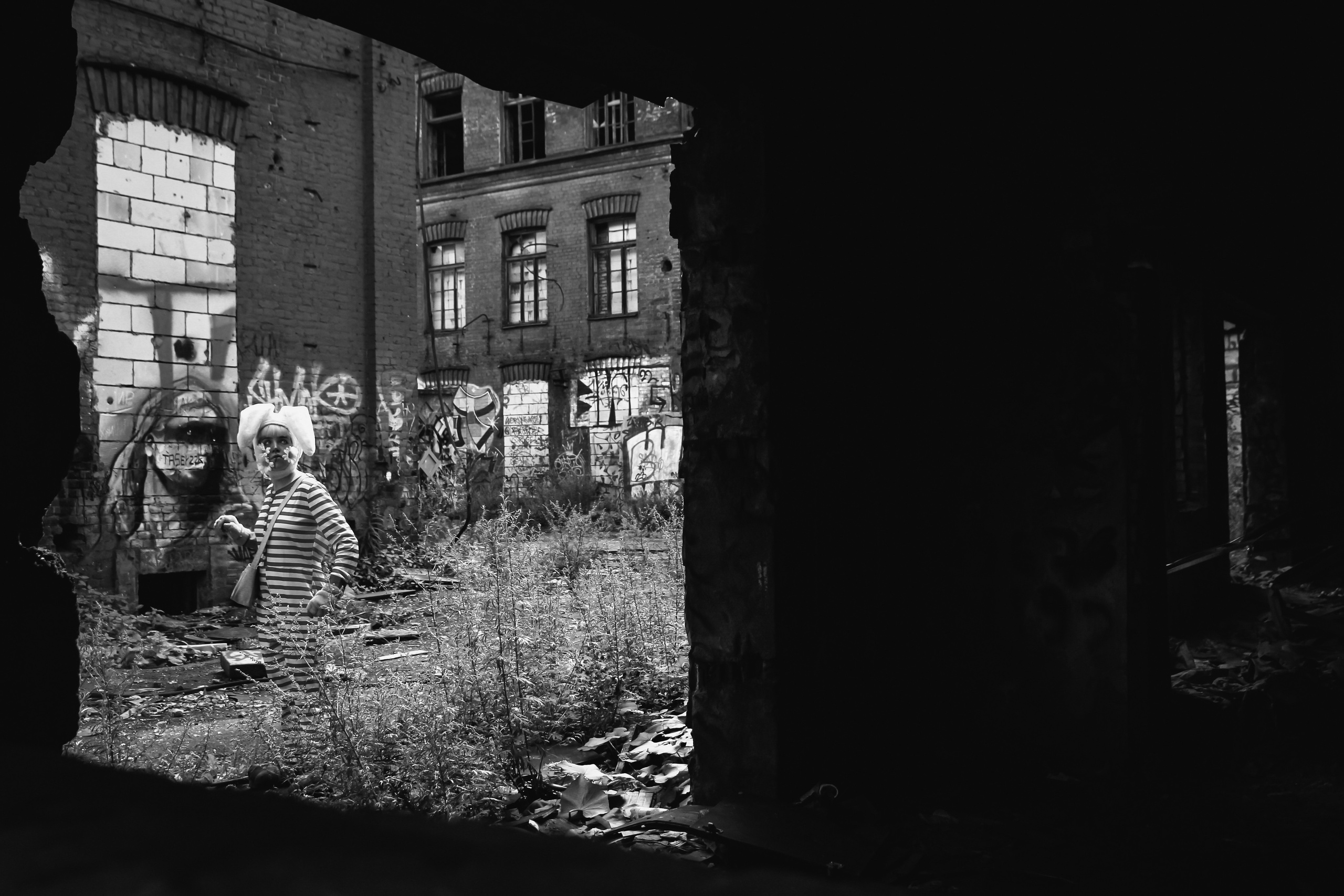 Поппи 🐰. Главная