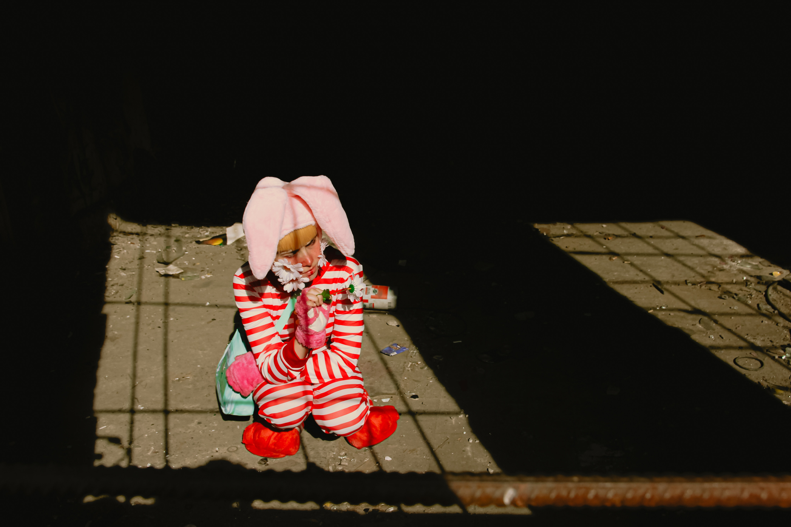 Поппи 🐰. Главная