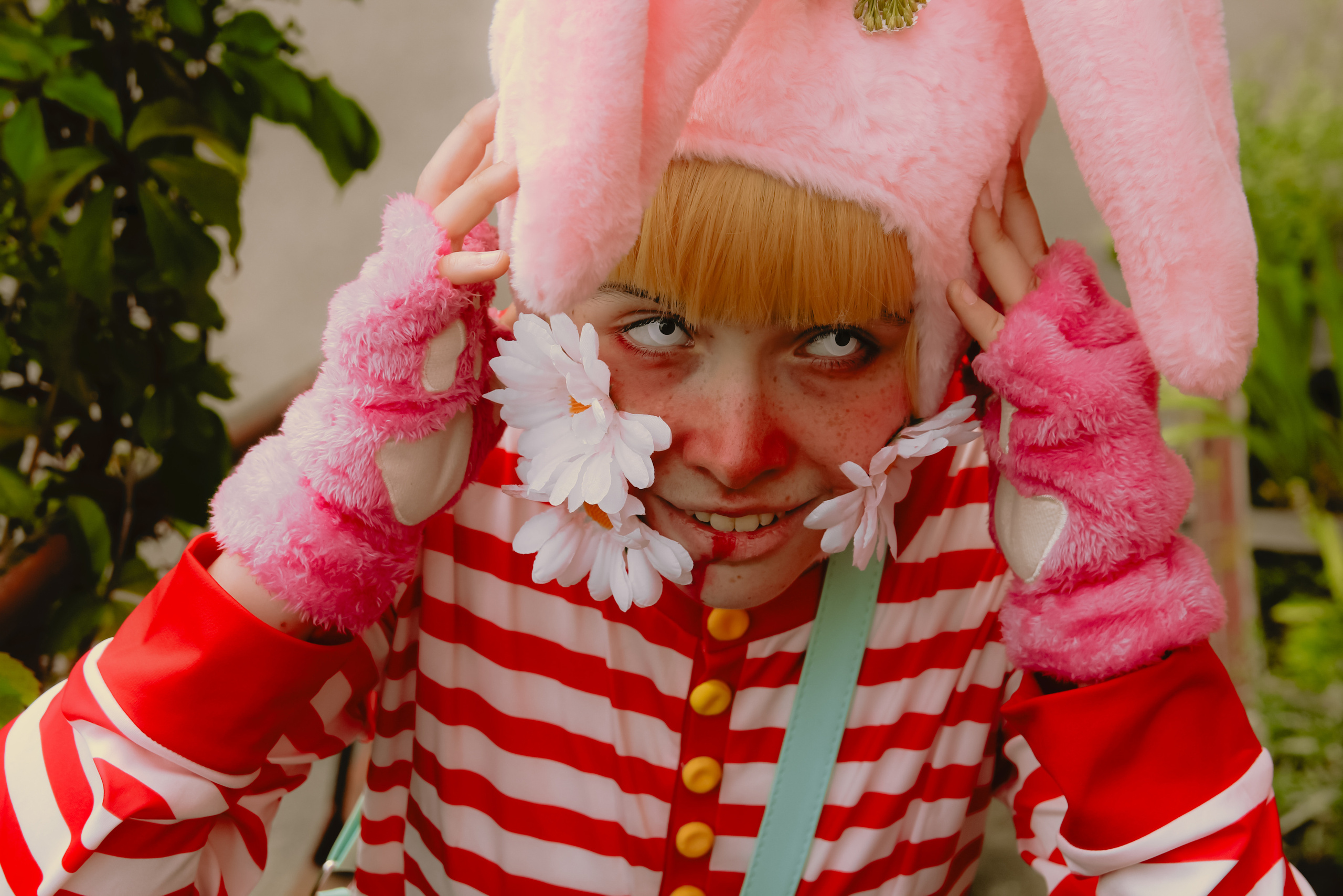 Поппи 🐰. Главная