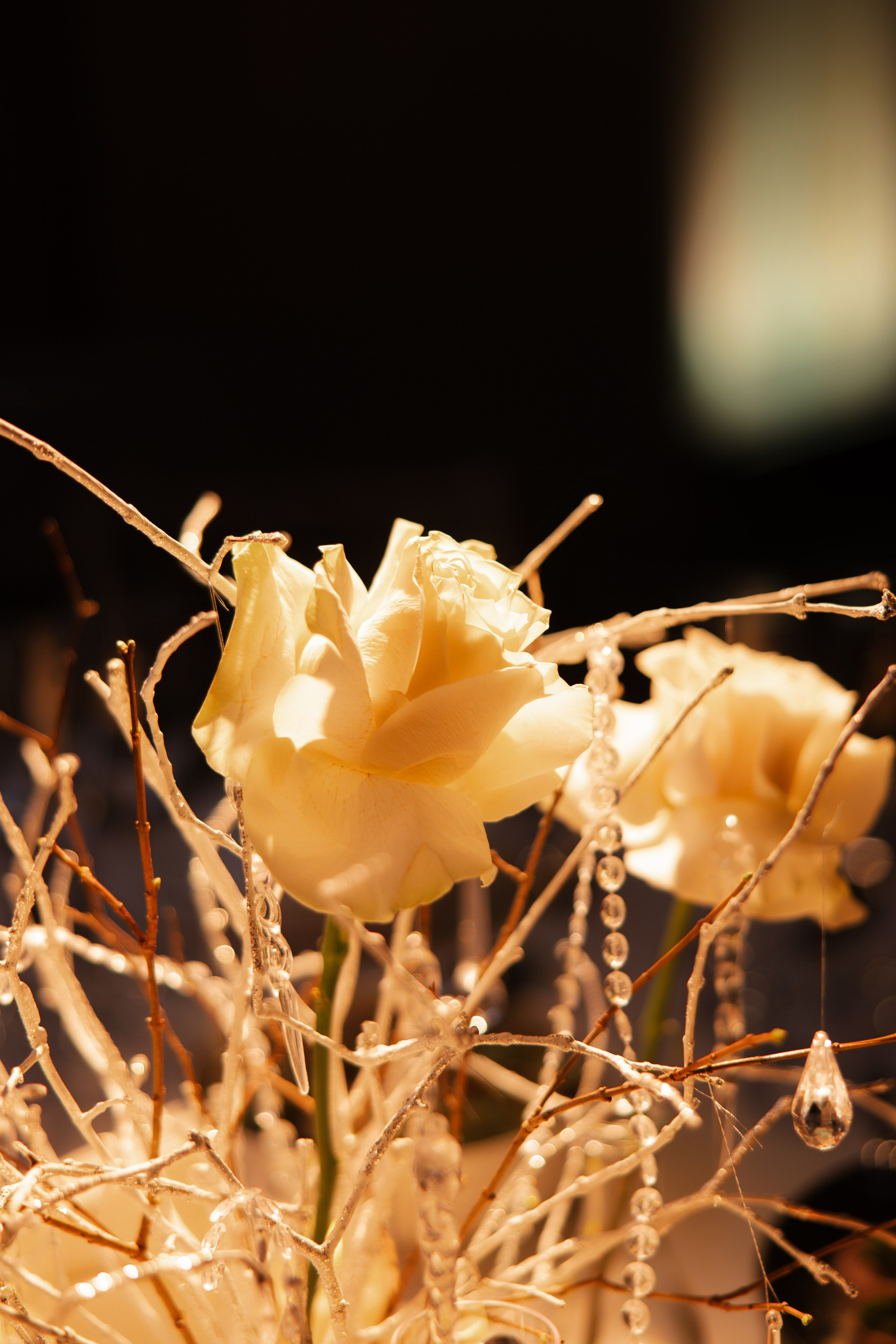 Там, где мы — семья. Свадебный и семейный фотограф Мария Князева в Санкт-Петербурге