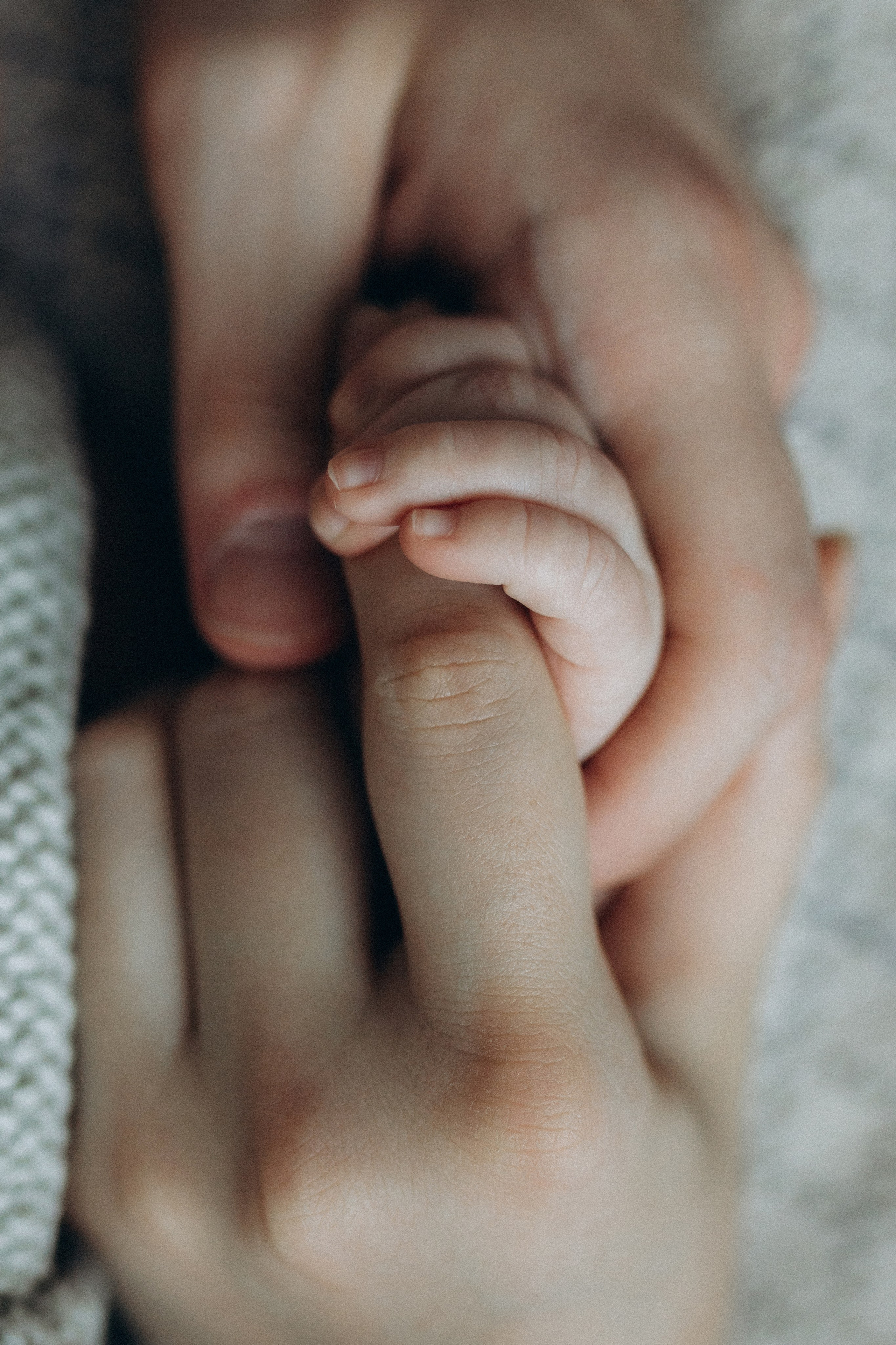 Остап. Семейный фотограф в Краснодаре Яна Морева