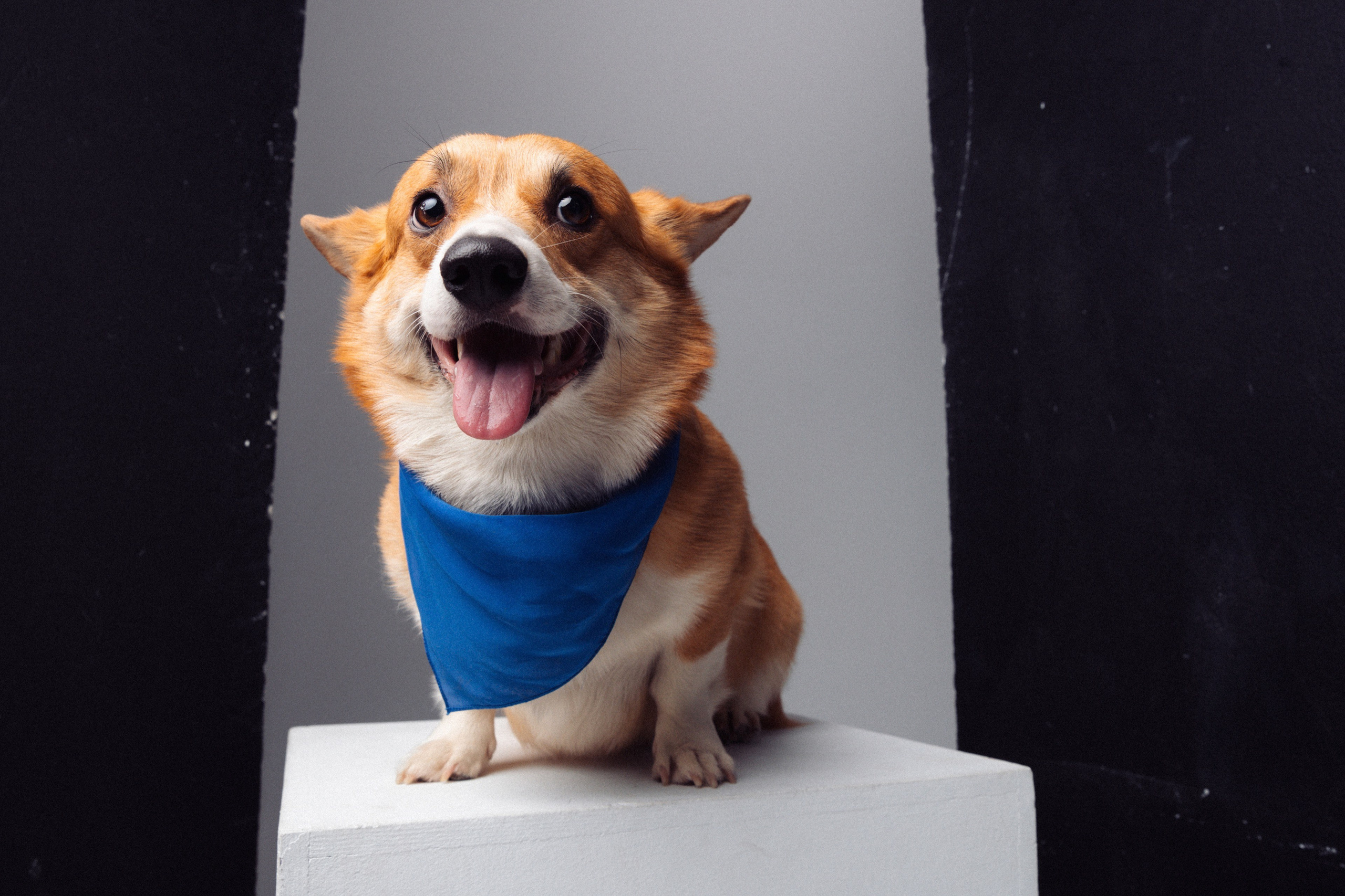 Vicky’s family. Commercial photographer | Anton Ermakov