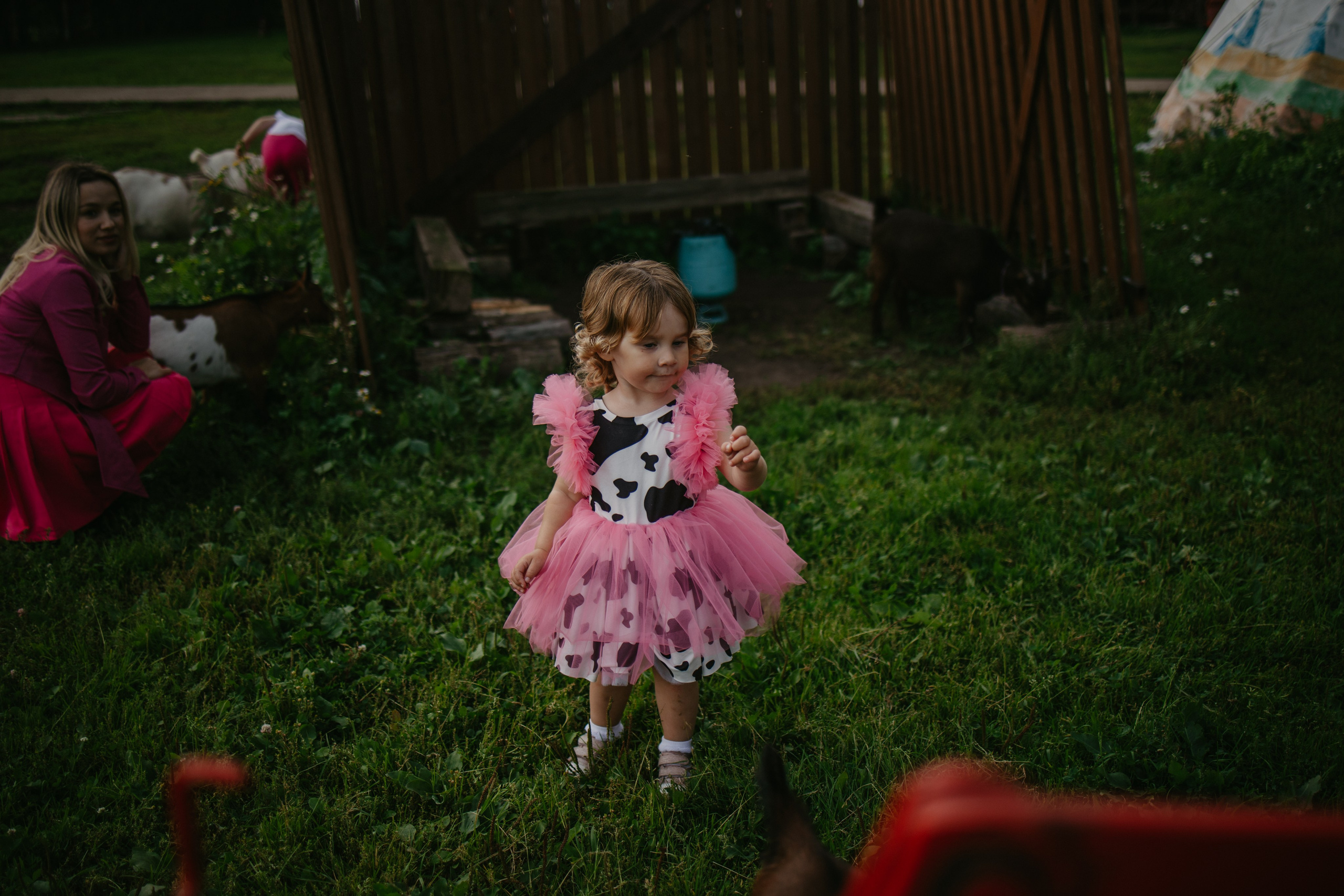 Лера 2 годика. Репортажный и портретный фотограф в Санктпетербурге. Видиосъемка мероприятий в Санкт-Петербурге