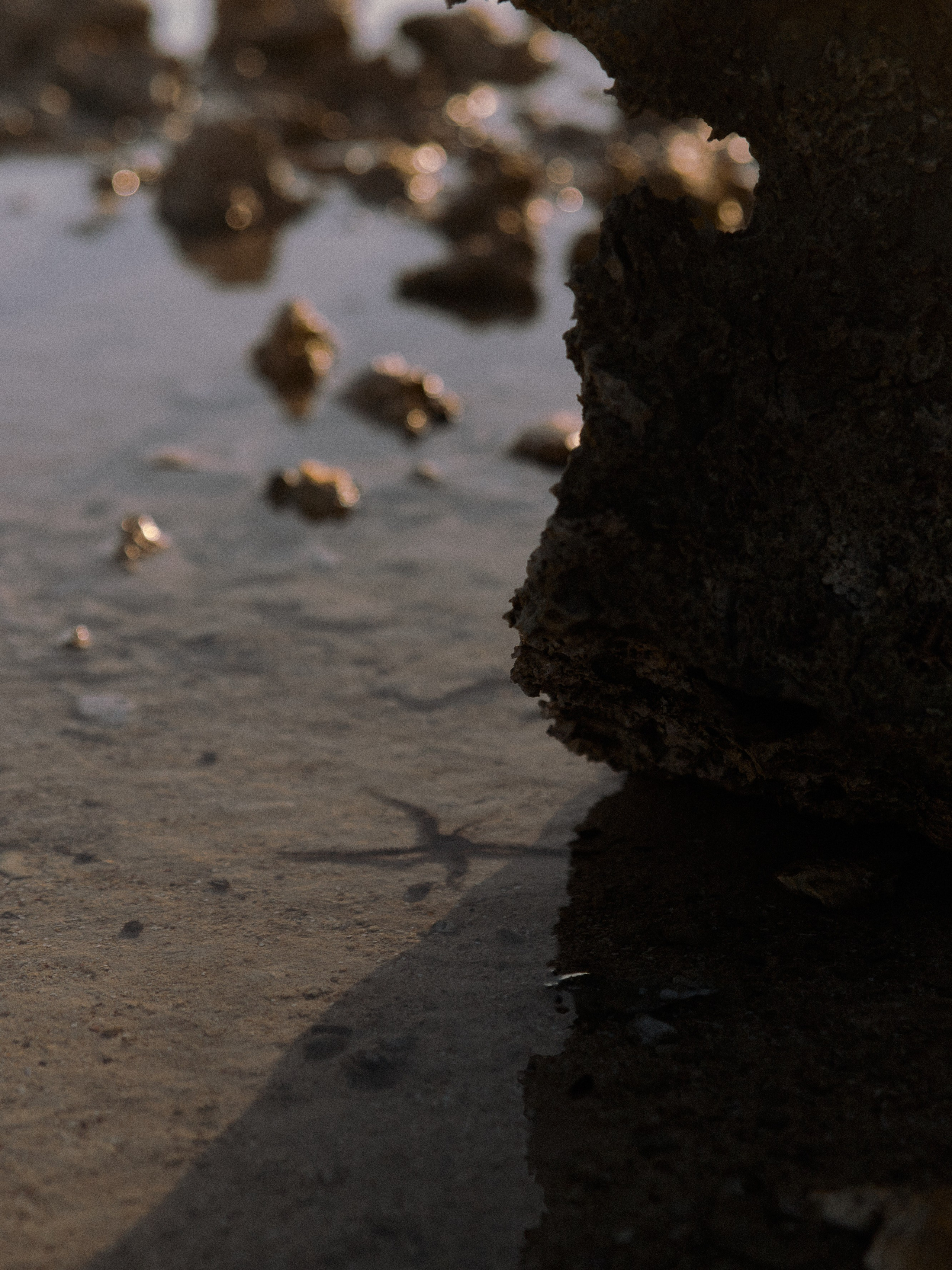 Природа. Jorgis Talè — photographer, kind person, teacher of arts and other mag