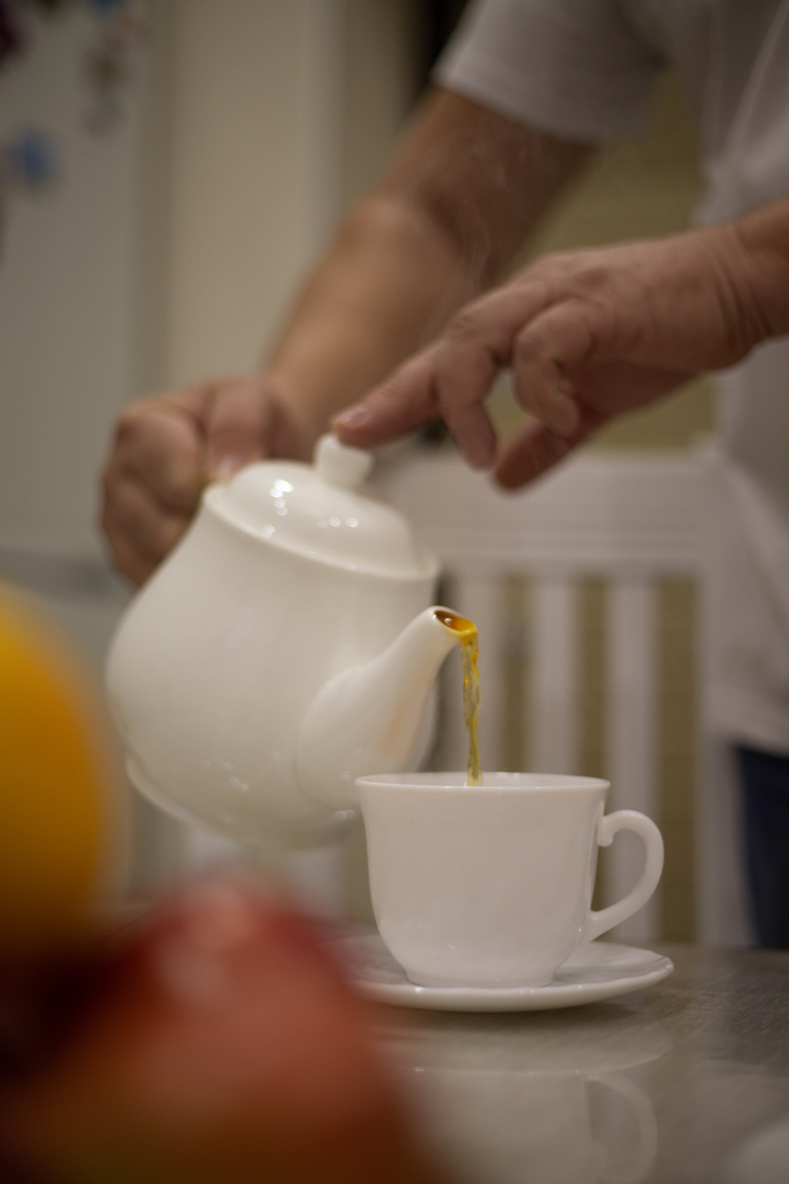 Домашние. Фотограф — Анастасия Хохлачева