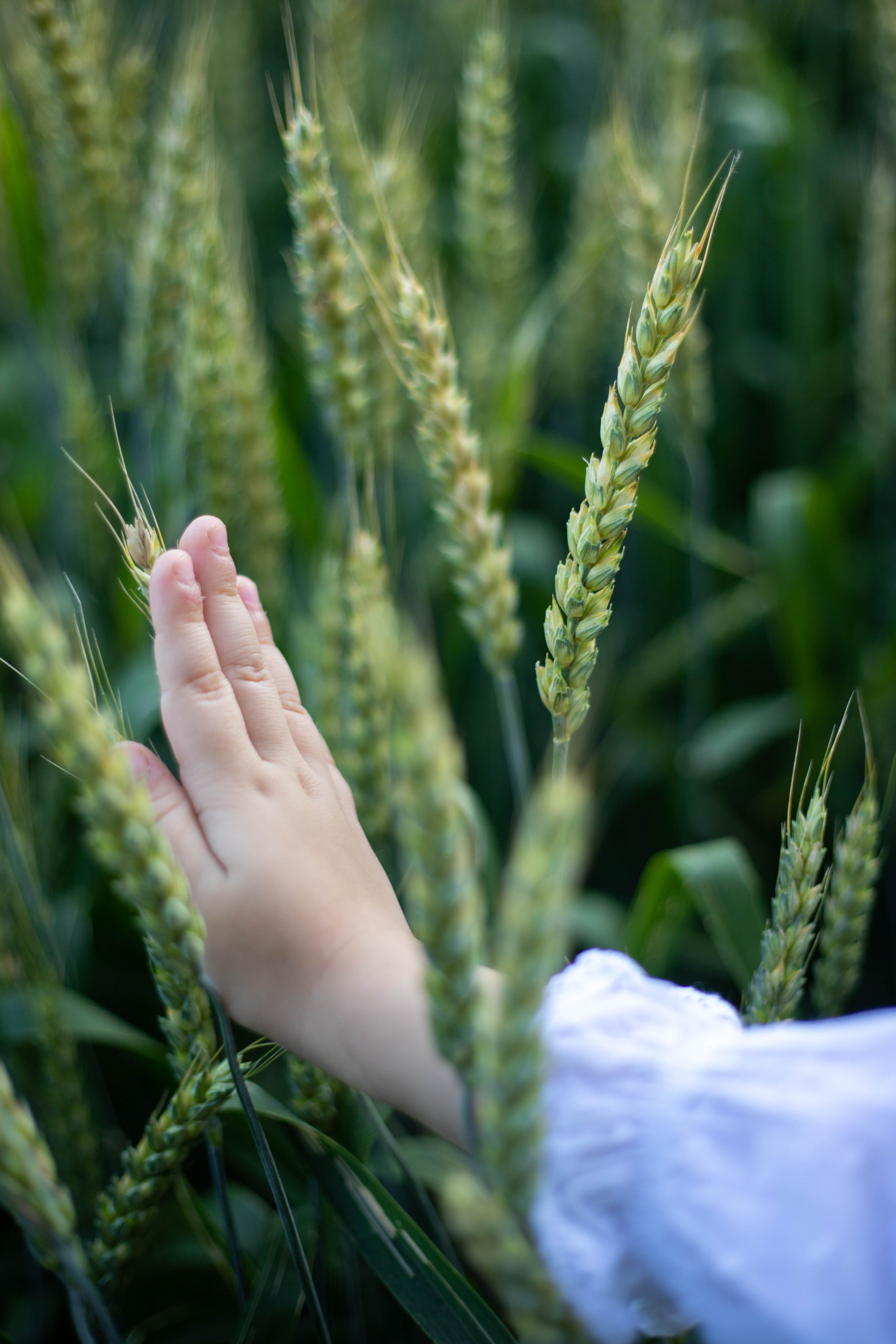 На природе. Фотограф — Анастасия Хохлачева