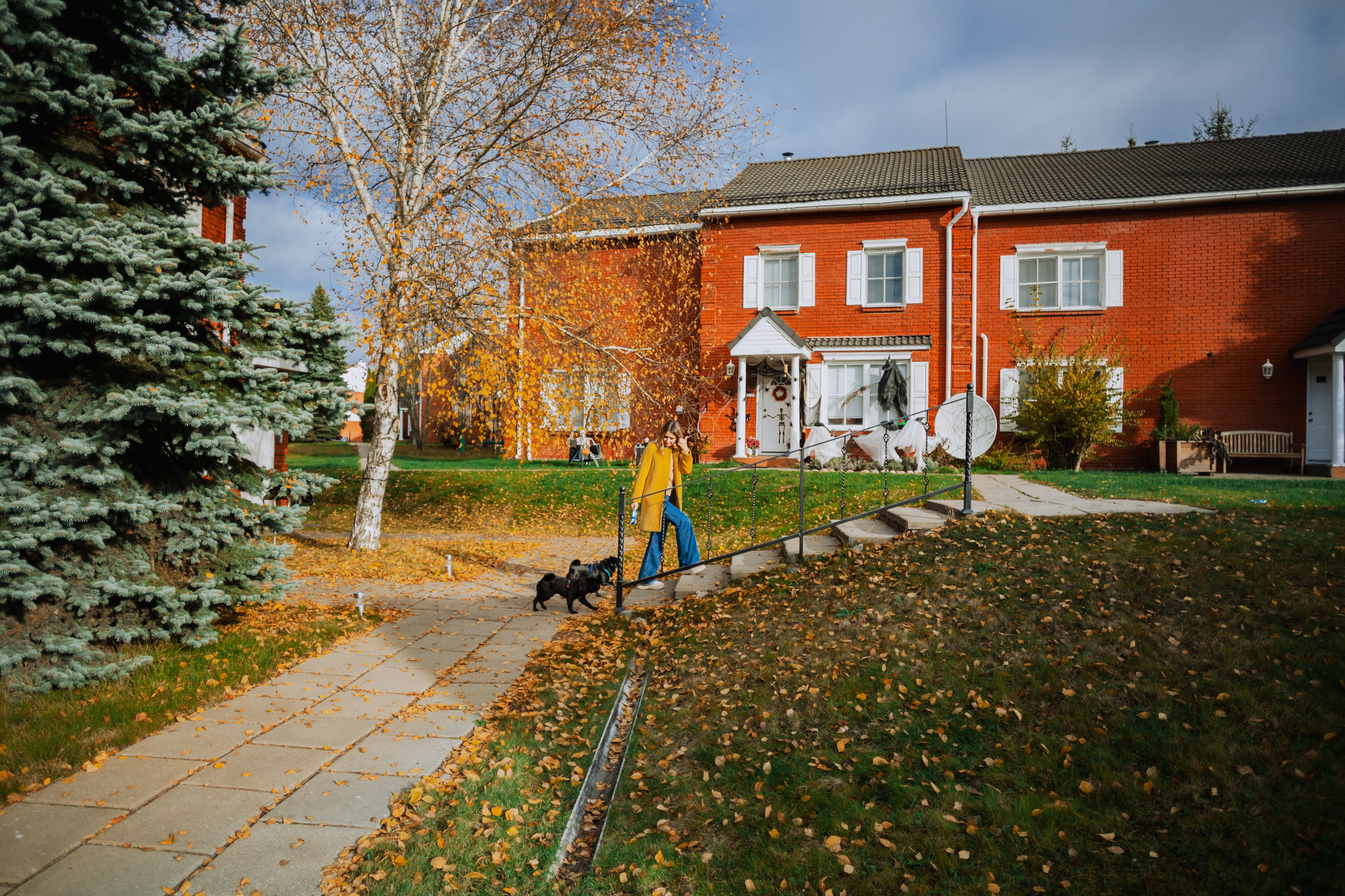 Оля, Харви, Луис. Фотограф-анималист Татьяна Степанова