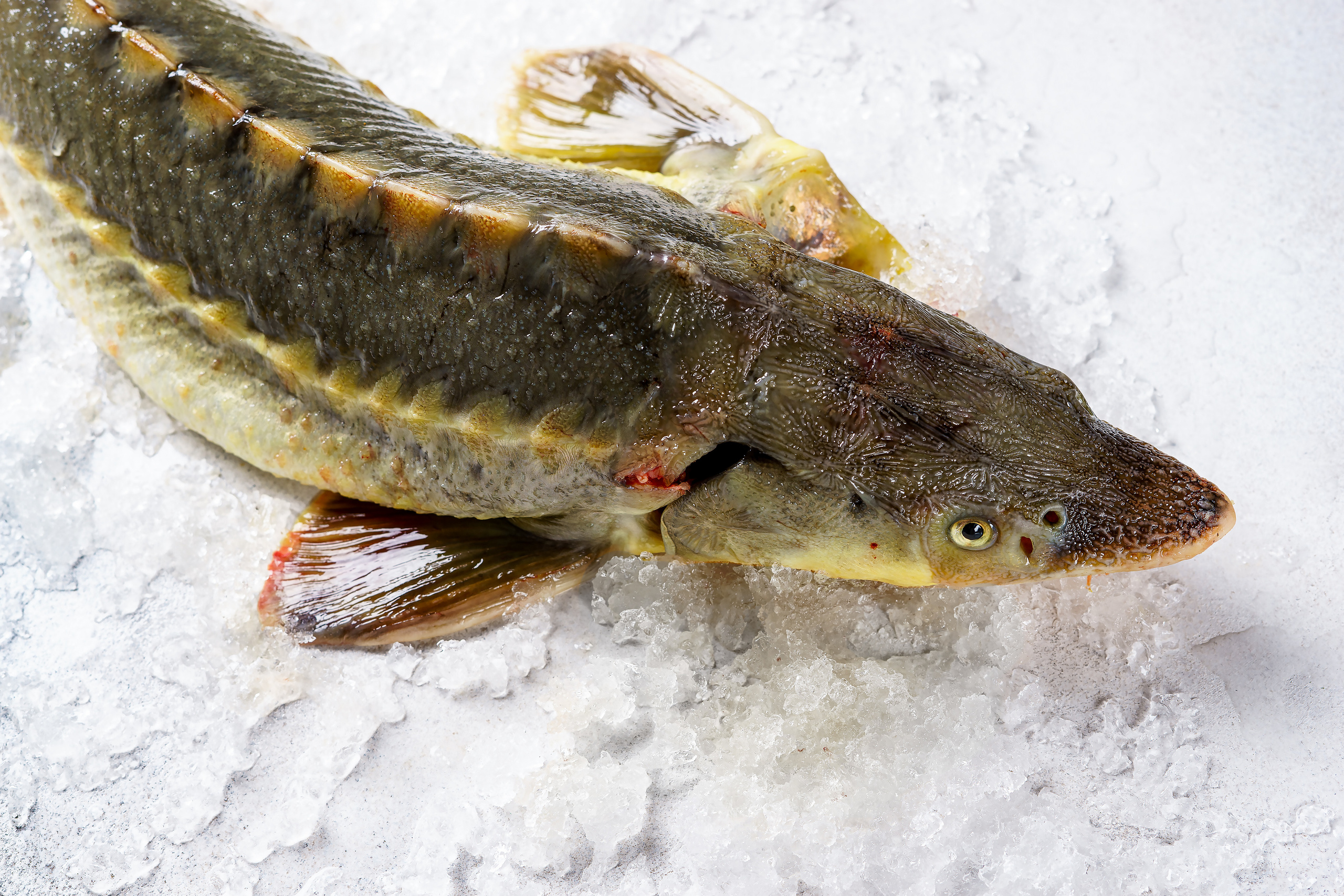 Полуфабрикаты, товары. Фуд-фотограф в Санкт-Петербурге | Foodphotoschulz