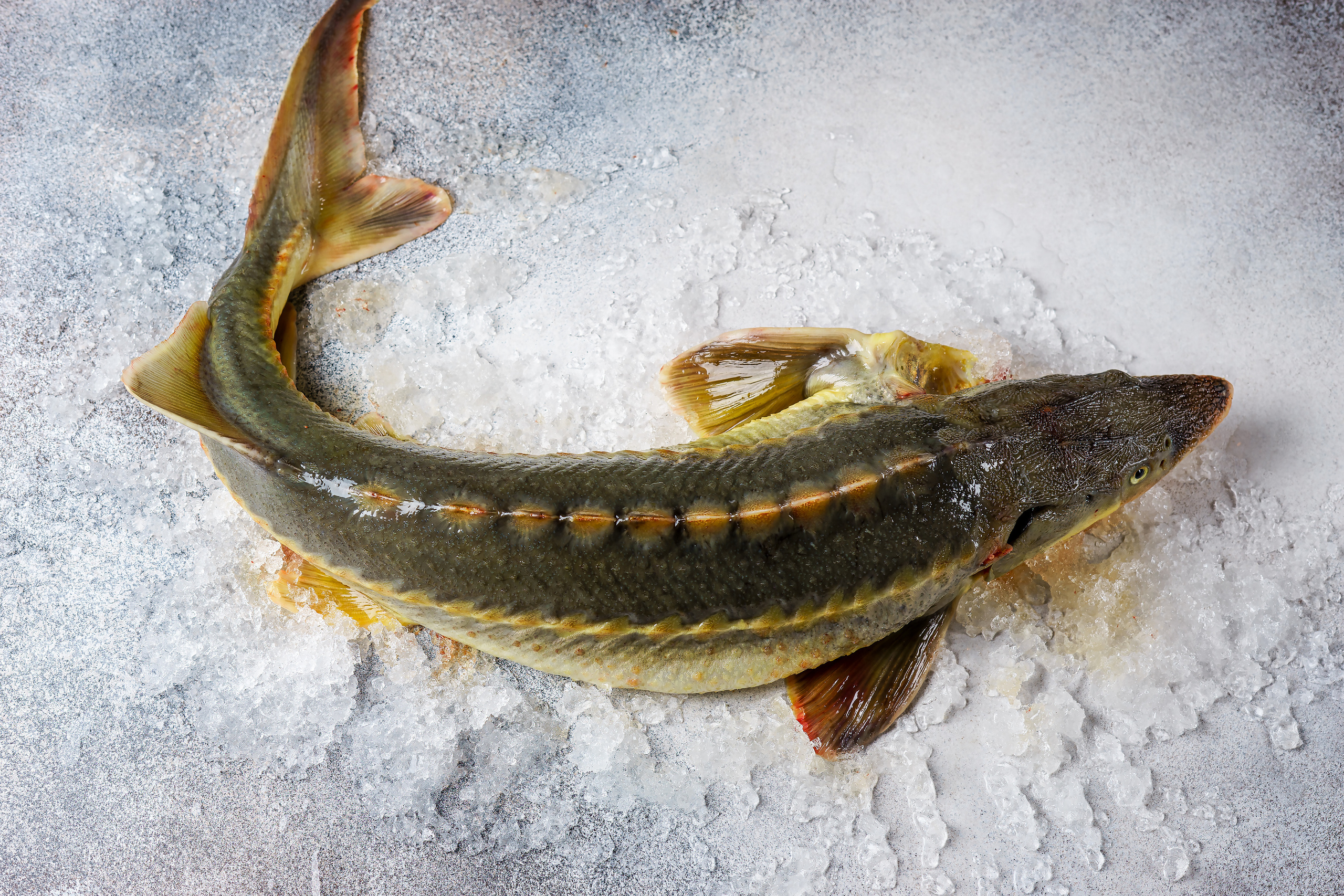 Полуфабрикаты, товары. Фуд-фотограф в Санкт-Петербурге | Foodphotoschulz