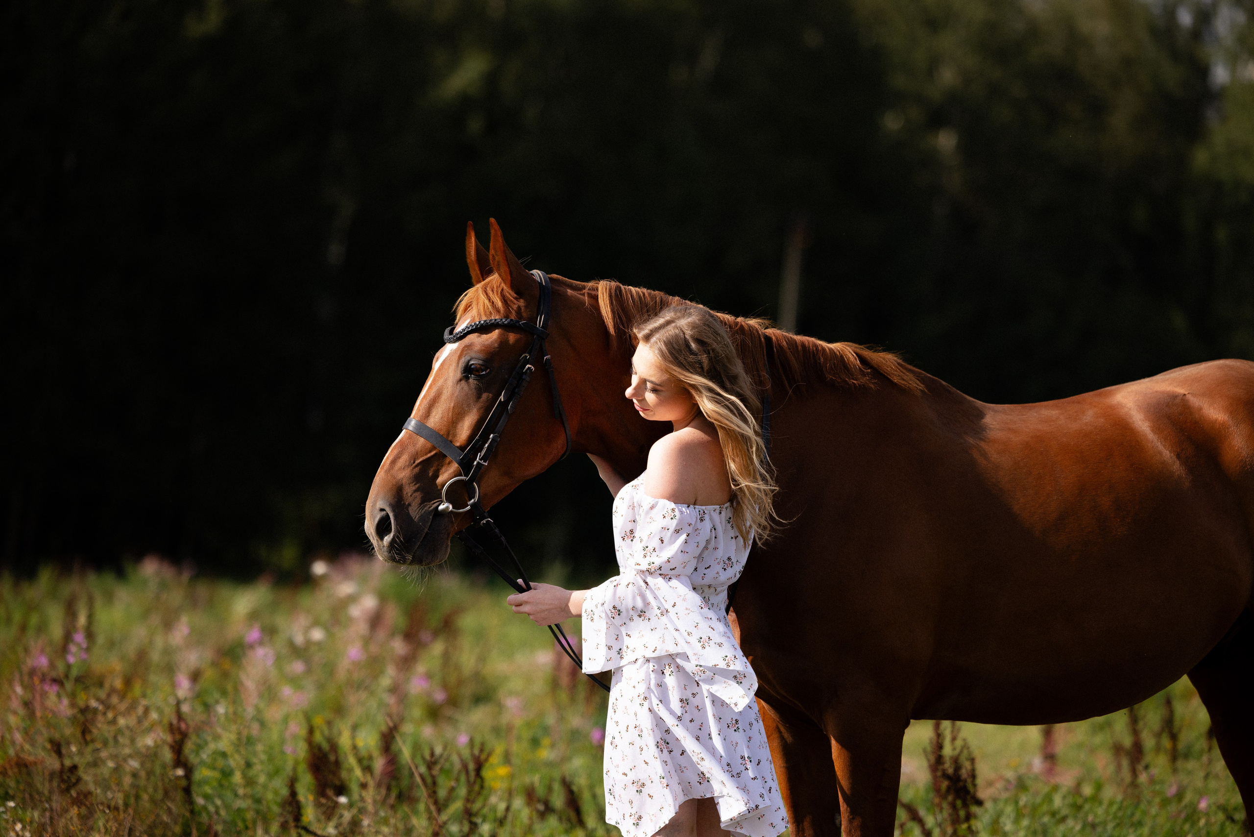 Мария и Реванш. Фотограф и видеограф анималист Аганина Дарья