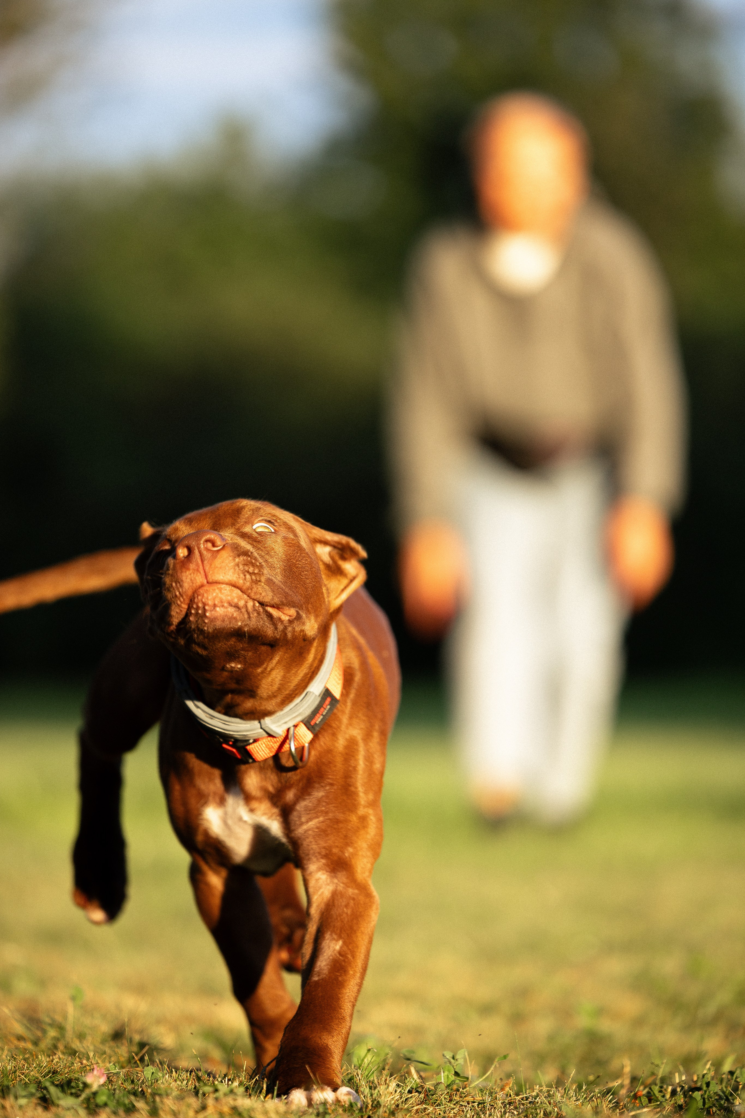 Елена и Хан. Фотограф и видеограф анималист Аганина Дарья