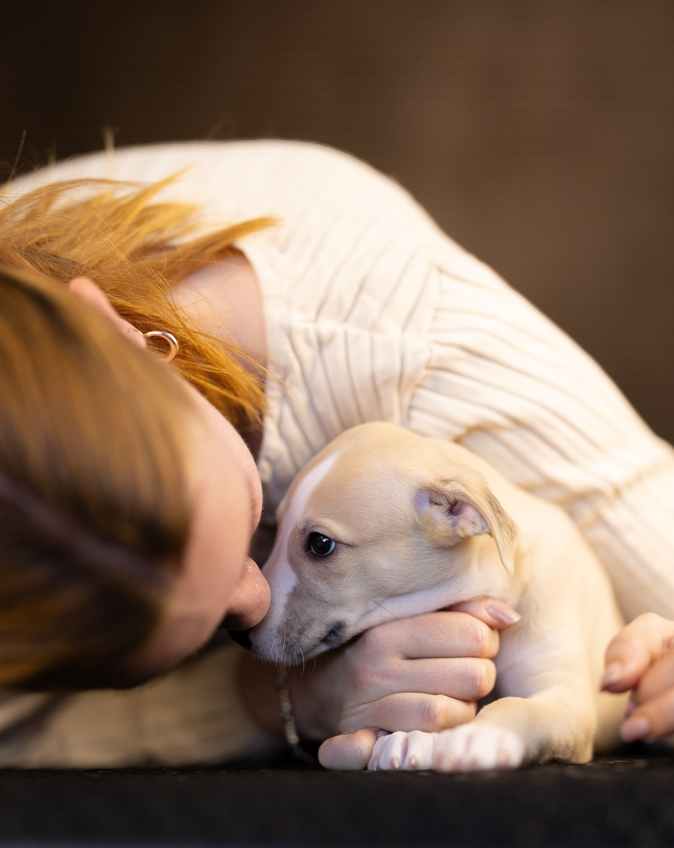 Уиппет. Фотограф и видеограф анималист Аганина Дарья