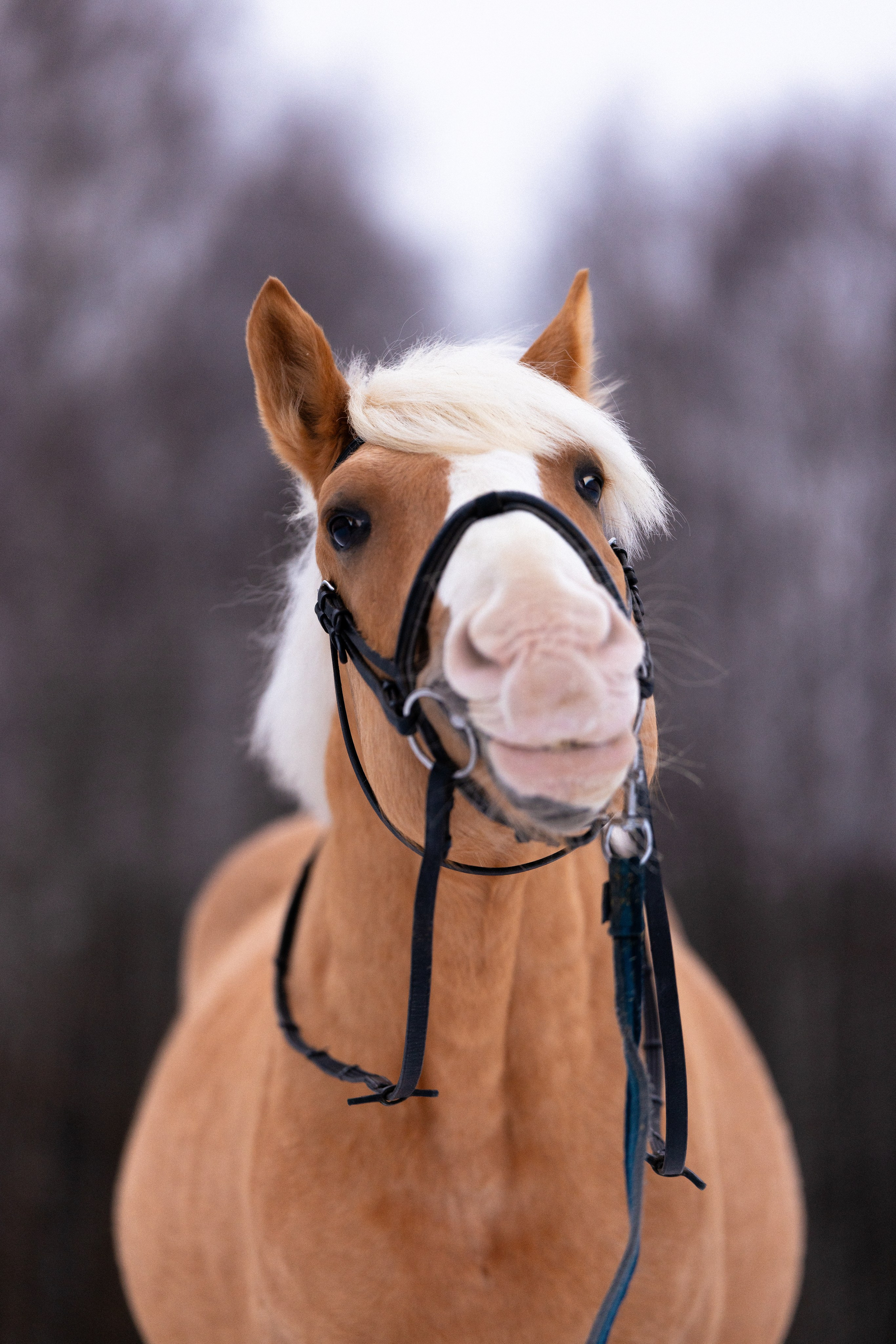 Бейкер. Фотограф и видеограф анималист Аганина Дарья