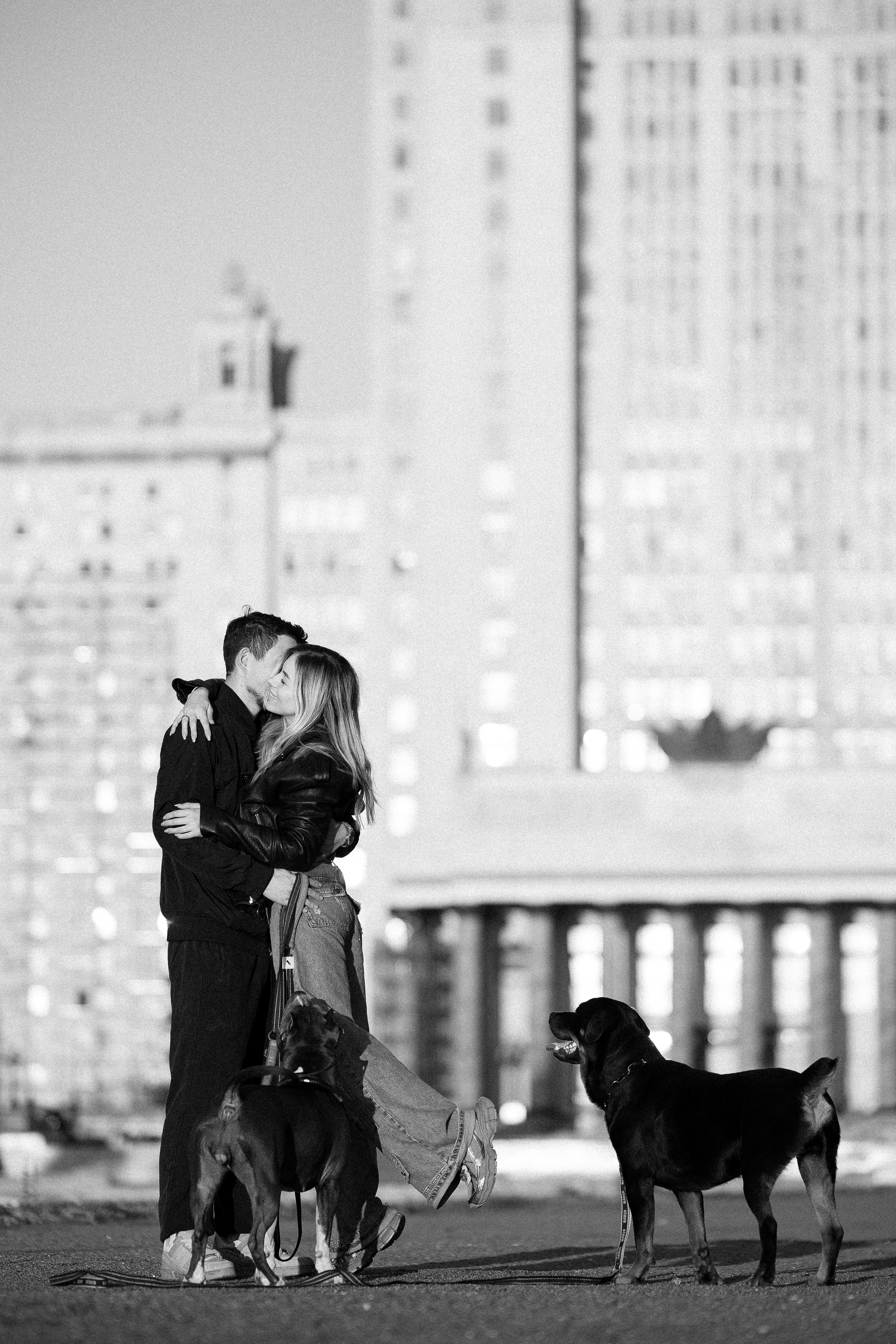 Катя, Леша, Лея и Трой. Фотограф и видеограф анималист Аганина Дарья