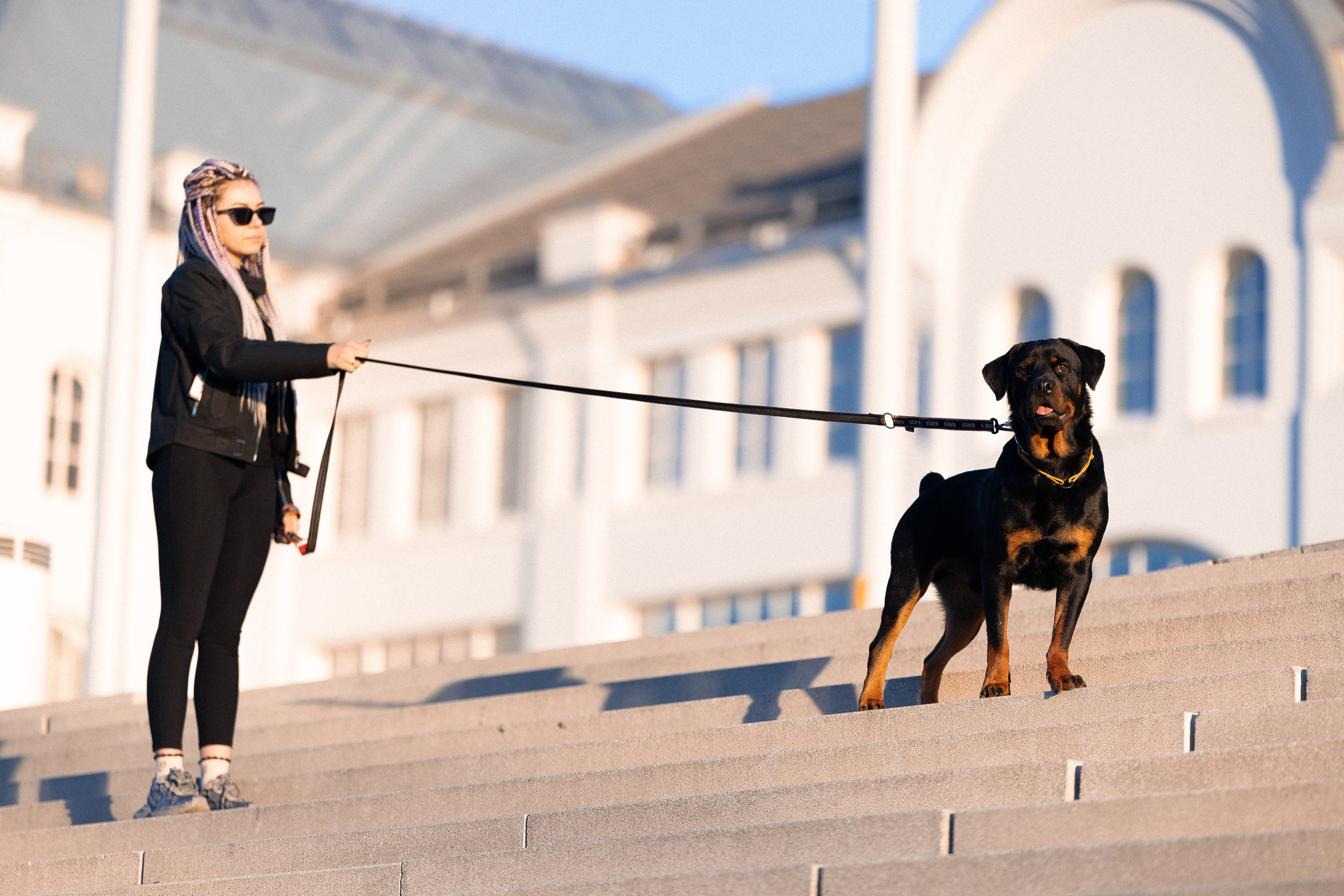 Катя, Леша, Трой и Лея. Фотограф и видеограф анималист Аганина Дарья