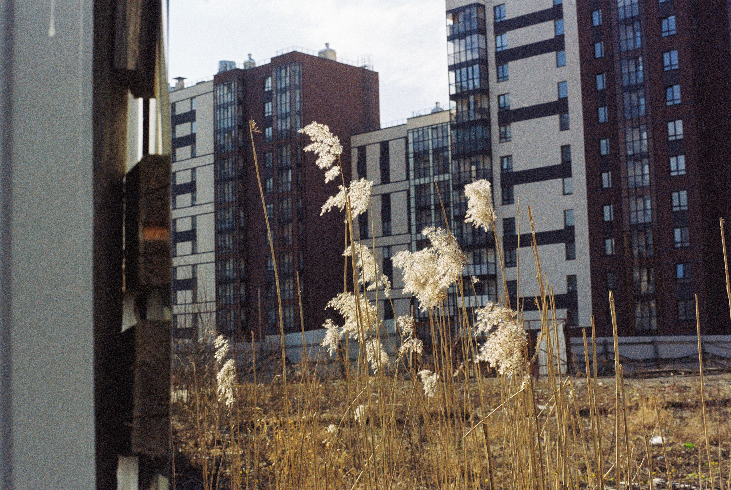 Плёночная весна 2025. Илья Михачёв Фотограф ПРО людей