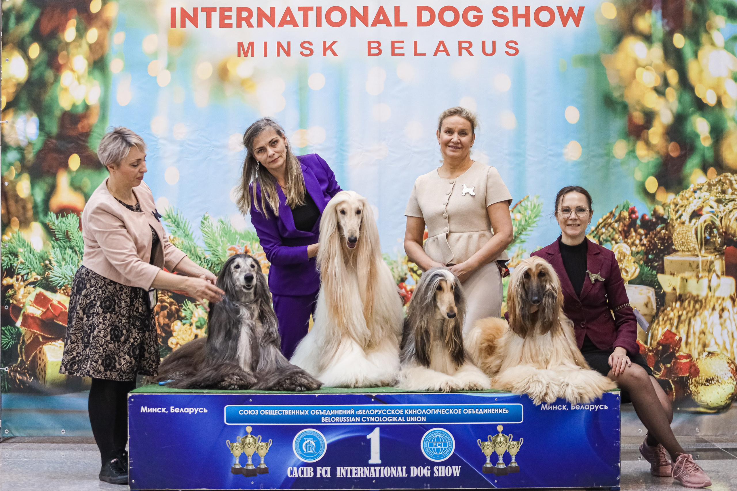 Международная выставка собак СACIB FCI 29-30.11.2025. Галерея фотографий афганской борзой