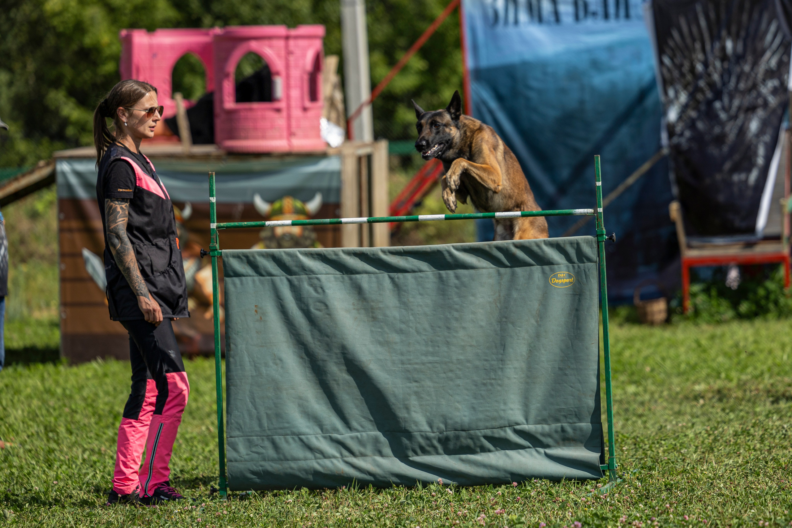 Соревнования по Мондьорингу г. Вологда 10-11.08.2024. Фотограф-анималист Анна Маринич