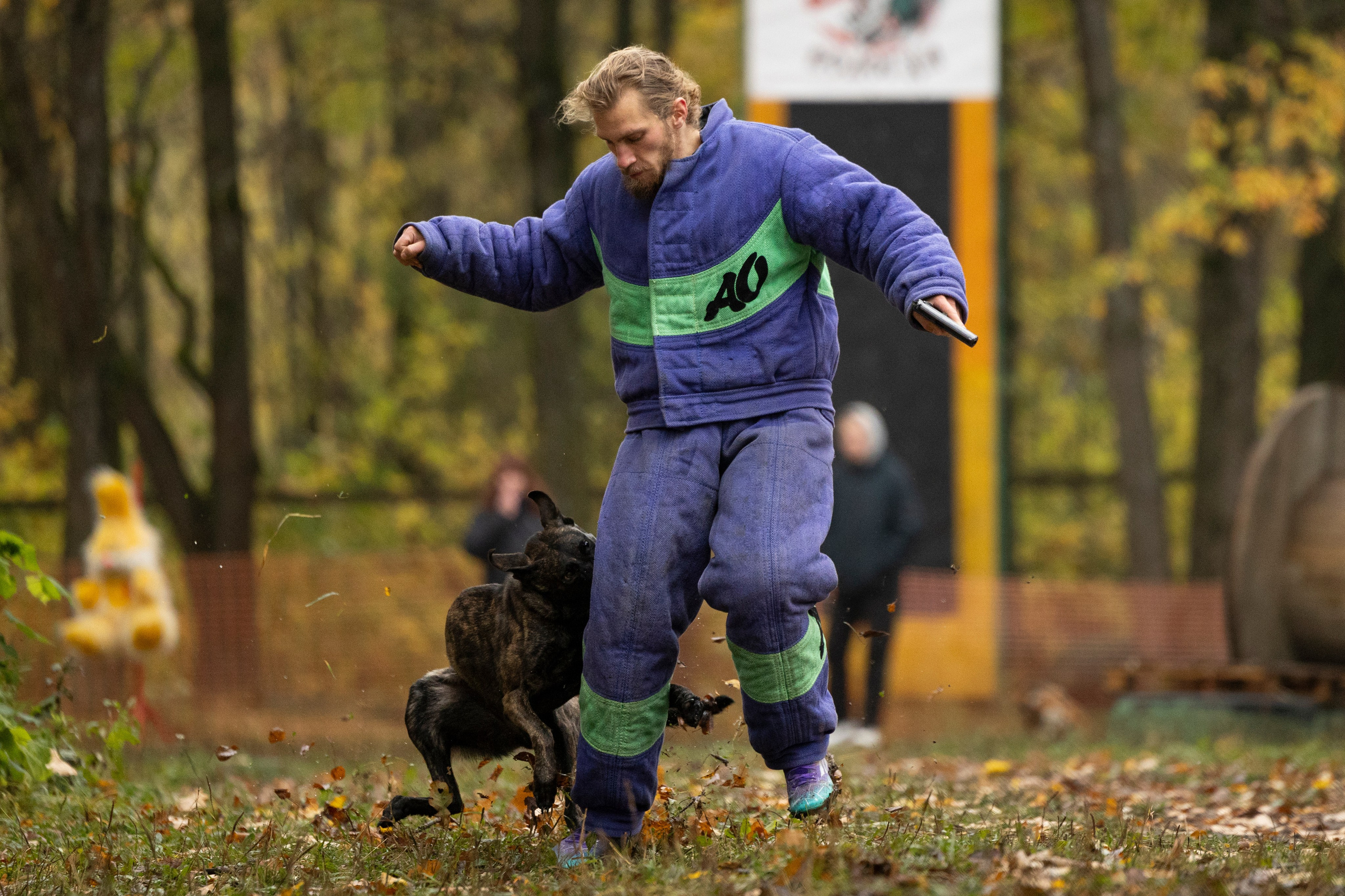 Соревнования по Мондьорингу г. Вологда. Фотограф-анималист Анна Маринич