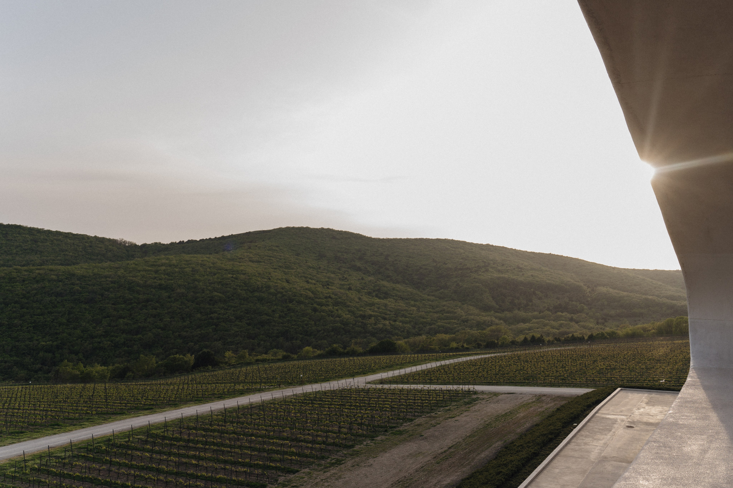 Скалистый берег 2024. Свадебный фотограф в Краснодаре и Сочи Винидиктова Екатерина