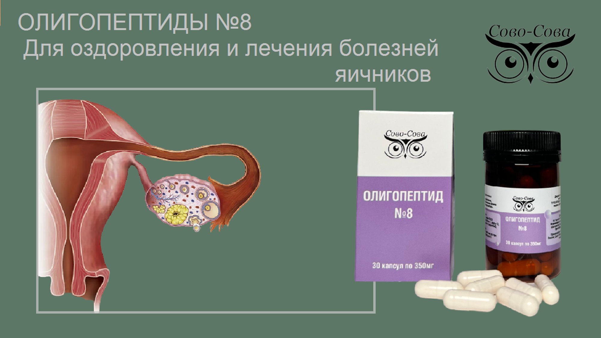 Олигопептид № 8  Для оздоровления и лечения болезней яичников