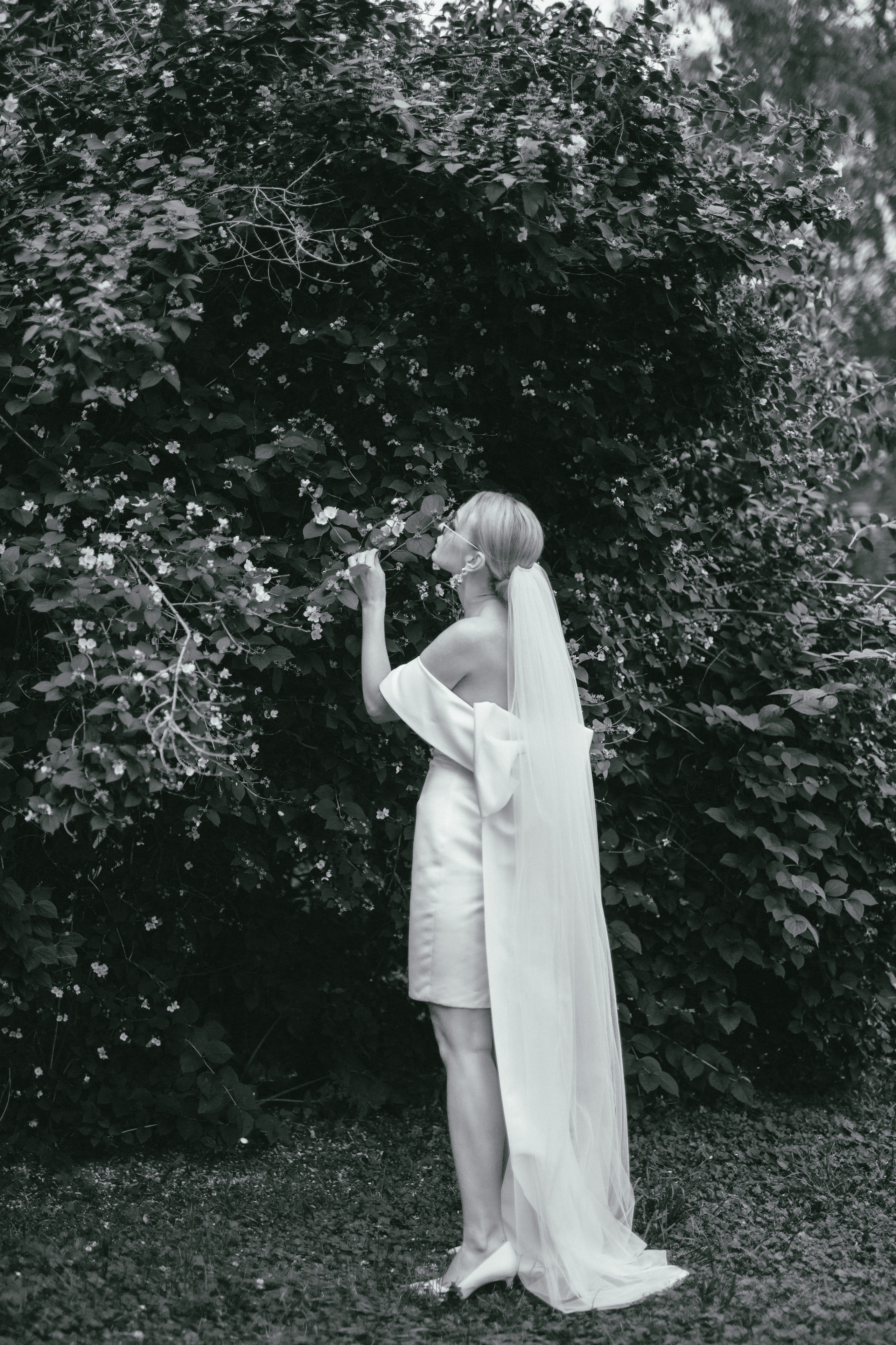 Уютная свадьба в Ярославле. Свадебный фотограф в Ярославле Алиса Курочкина