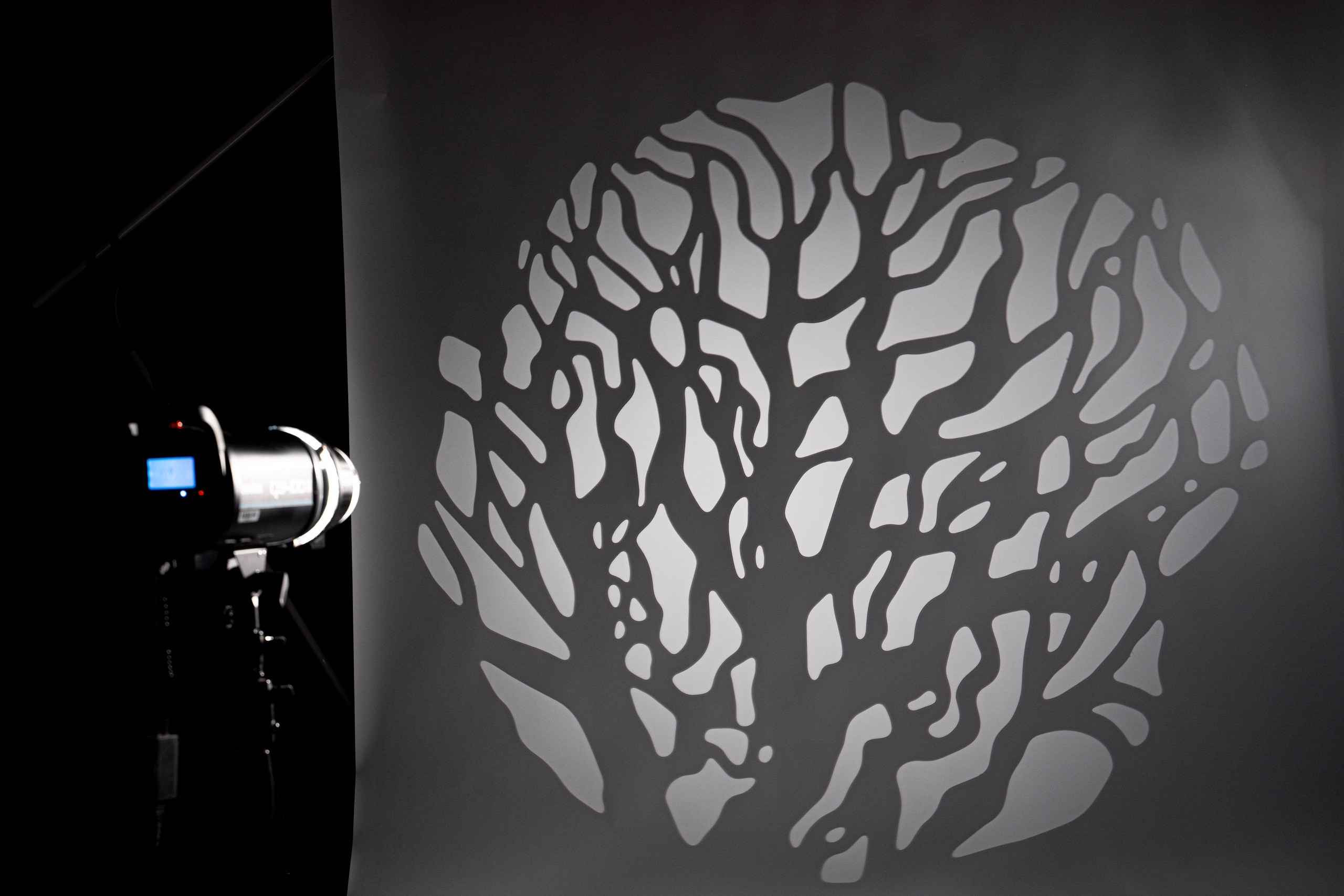 Фотостудия AlexCam | Фотостудии Саратова