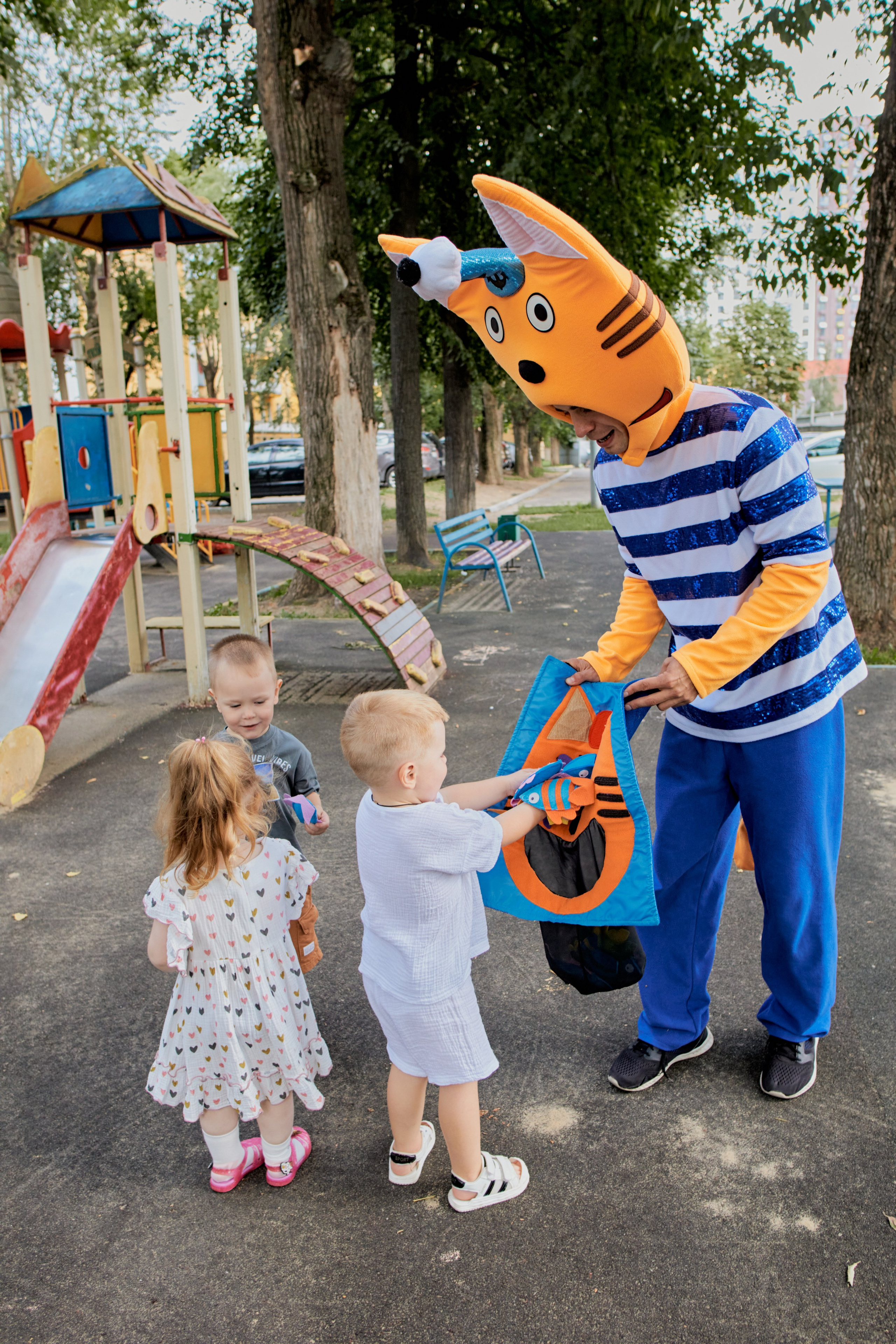 Три кота. Фотограф Москва