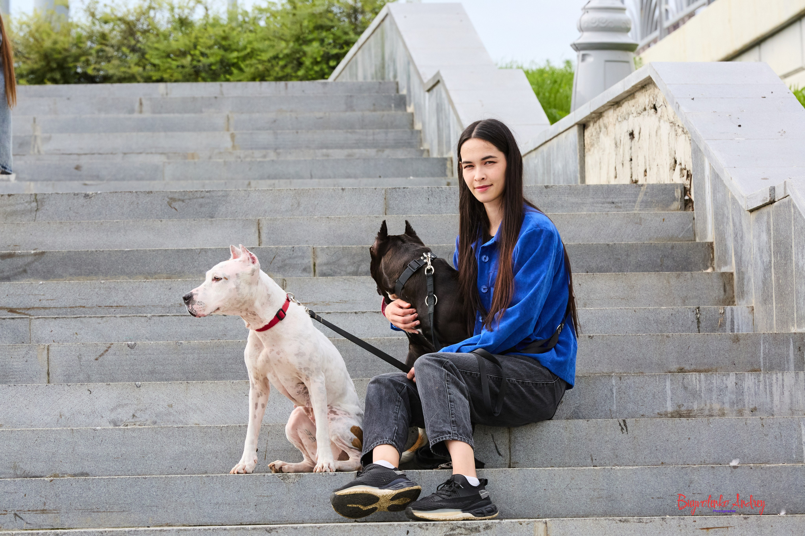 Проект фотопрогулка с хвостиком. Buyvolenko Andrey