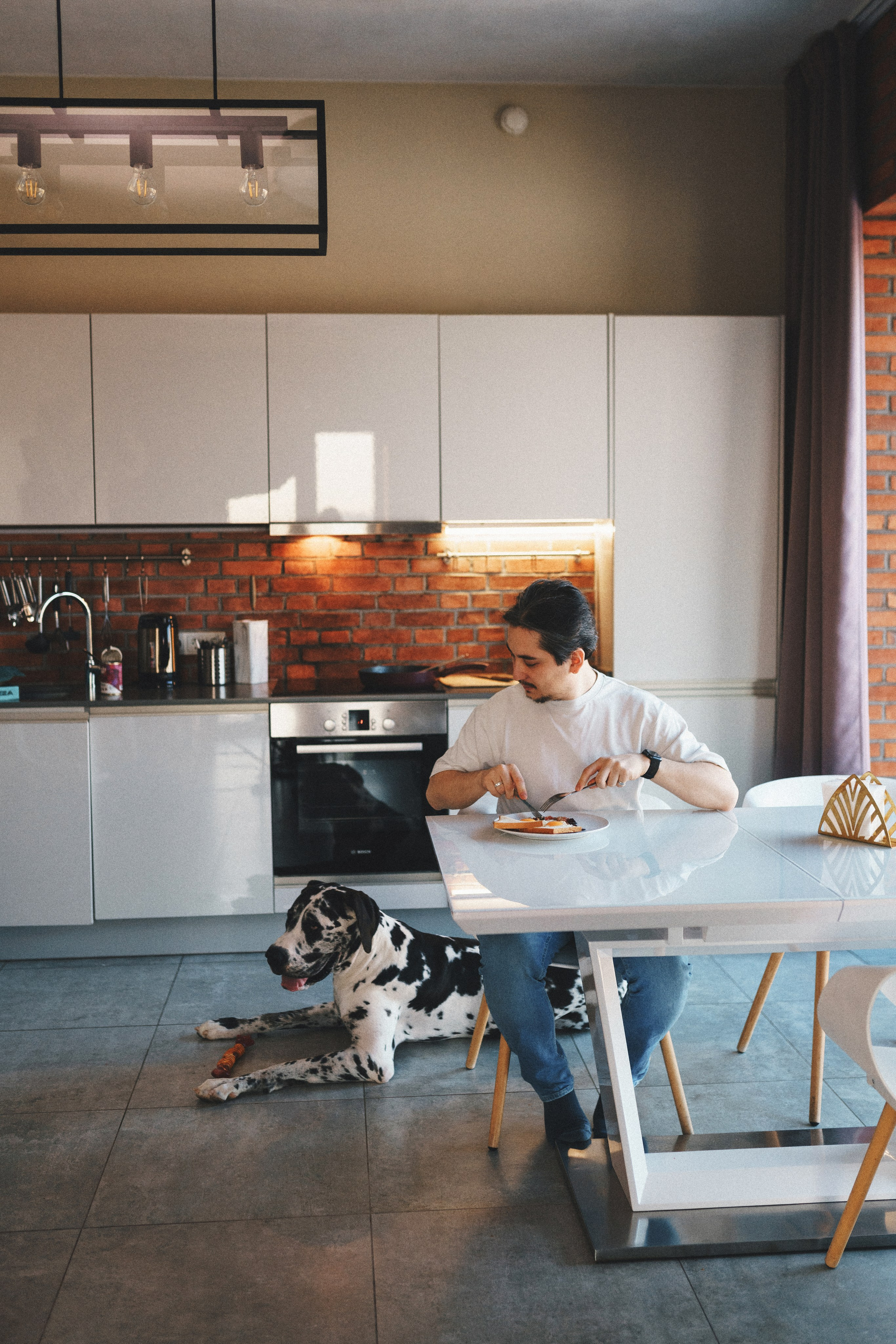 M-Pets. Фотограф анималист Осипчикова Мария