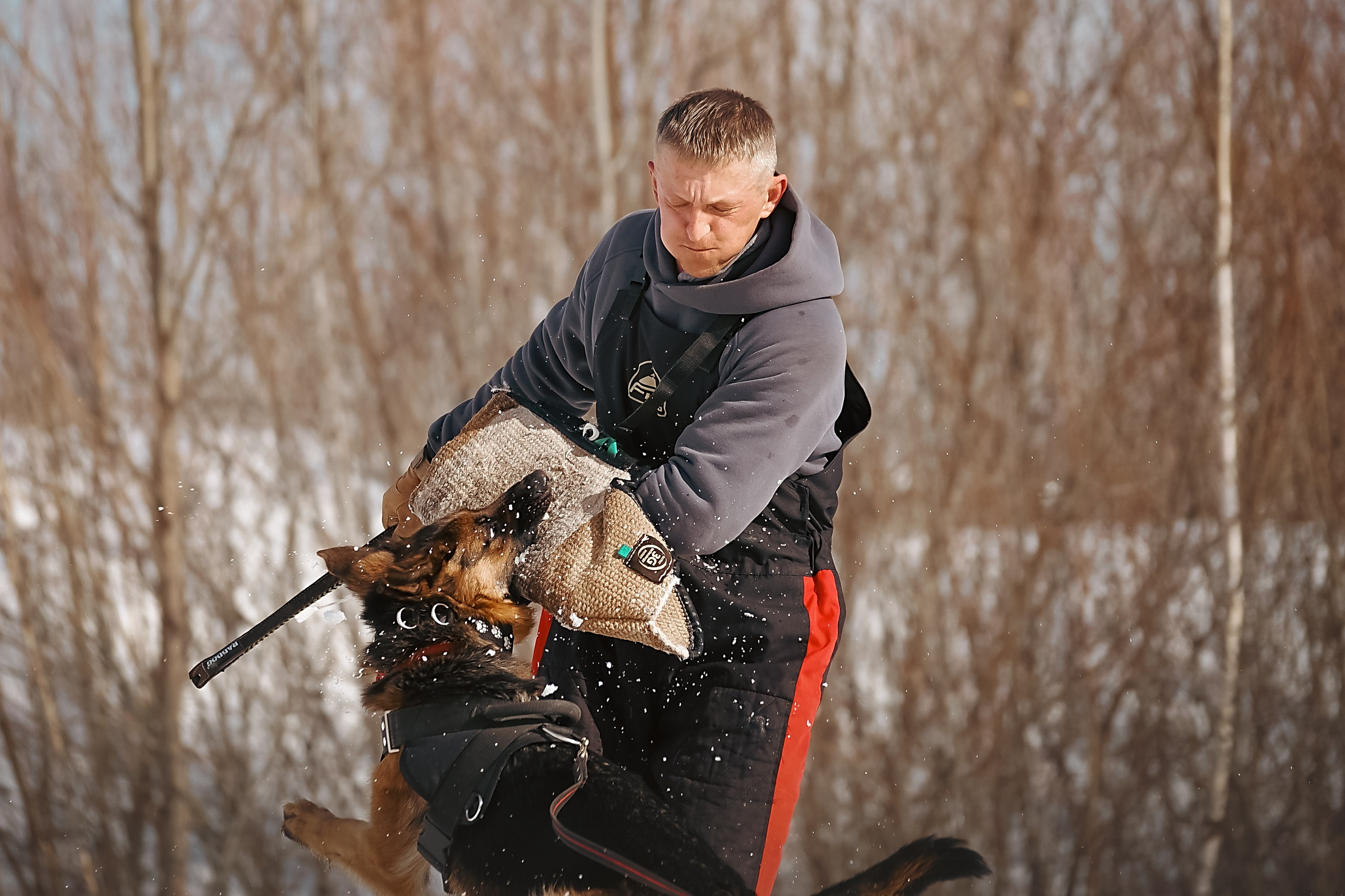 Репортажная съемка. Фотограф-анималист Нижний Новгород