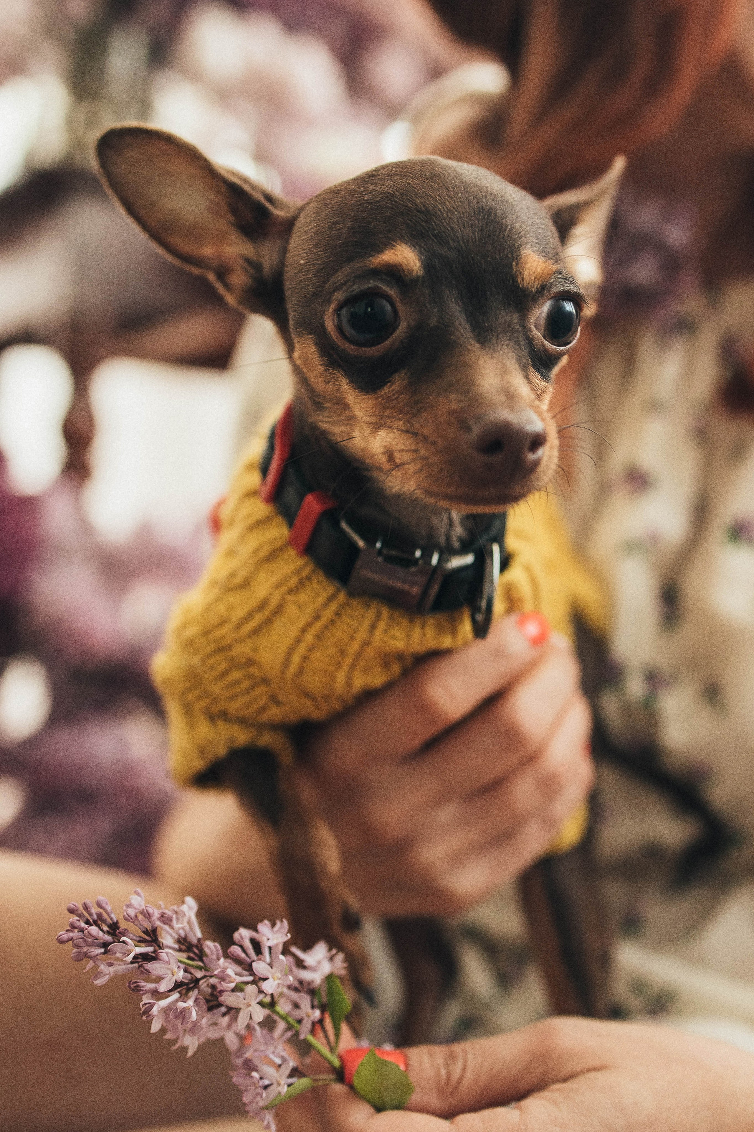 Оля и Варя. Главная