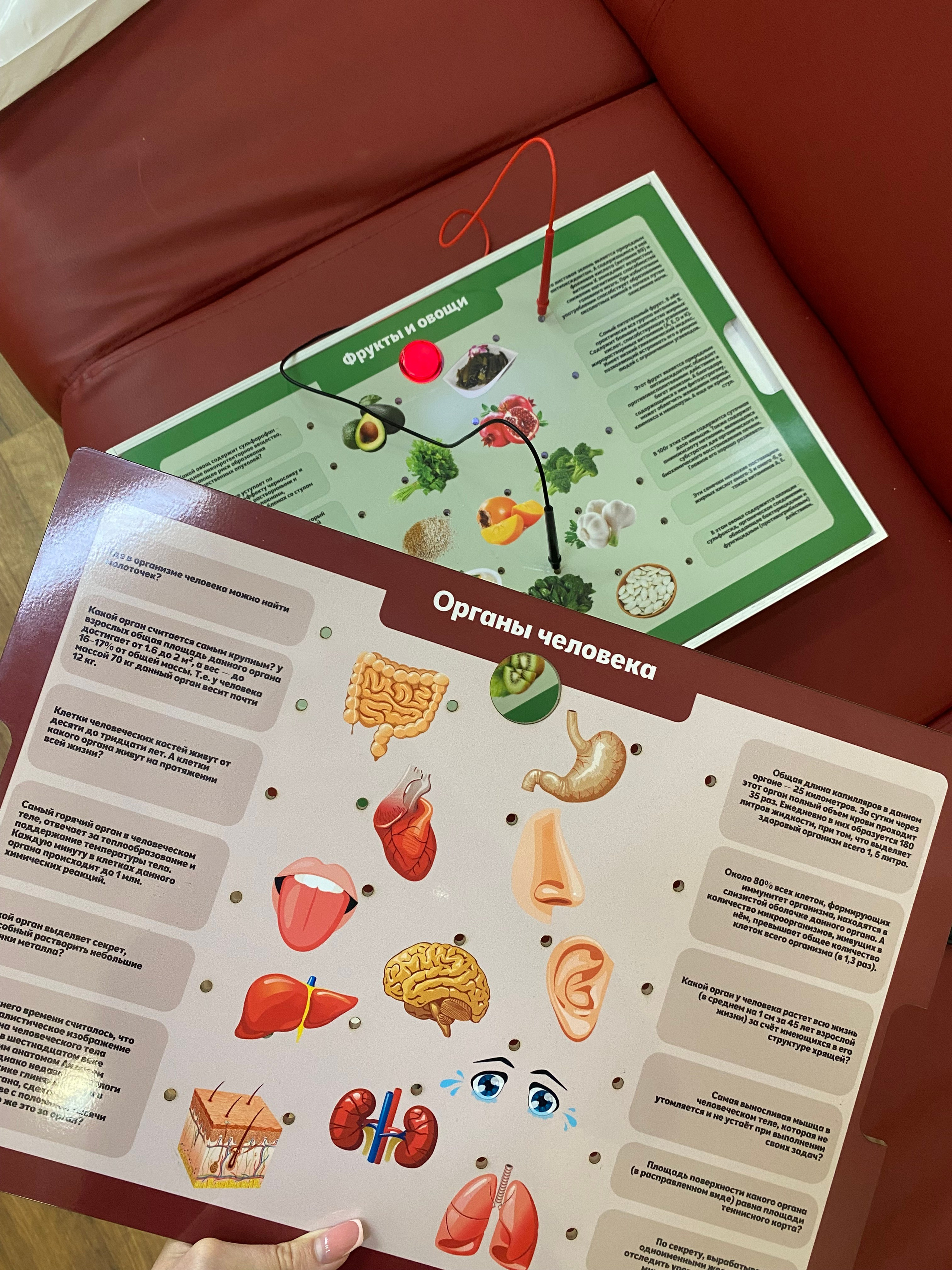 Live photos. Индивидуальный фотограф в Саранске Светлана Капусткина