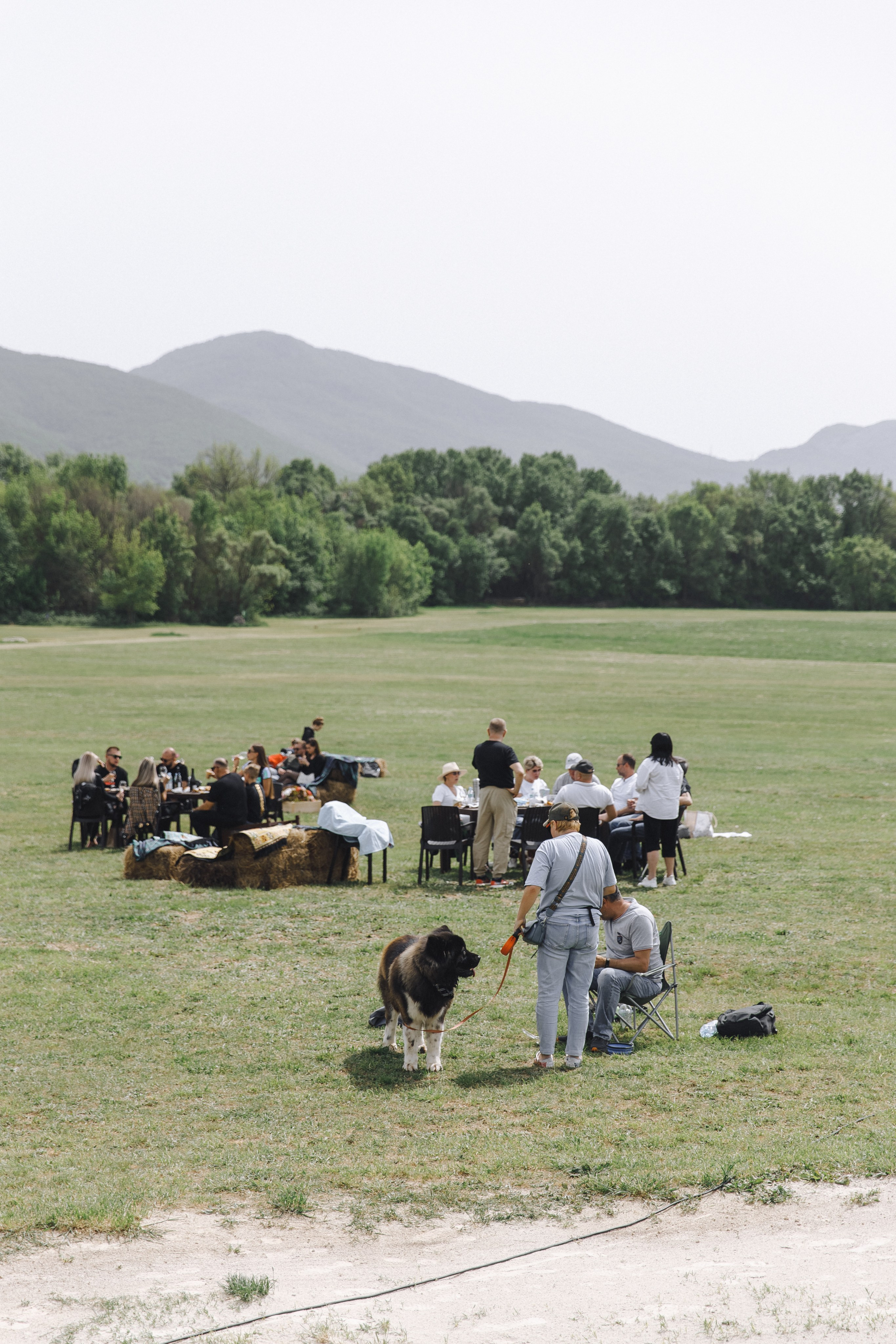 Riesling пикник. Свадебный фотограф в Севастополе и Крыму| Tanya Sher