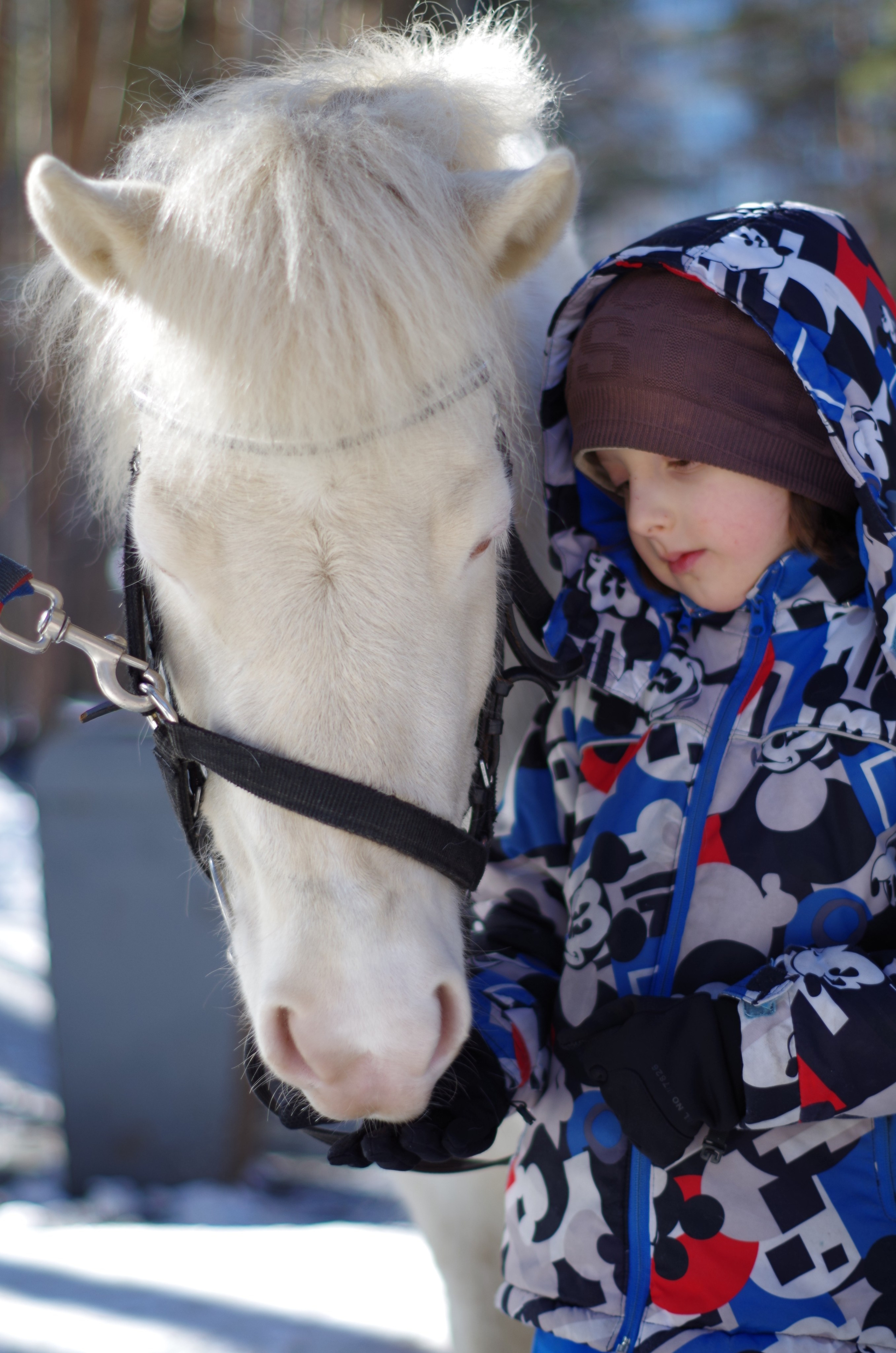 ДЕТИ & ЛОШАДИ. Фотограф Марина Доглядная Челябинск фотосессии с лошадьми, мотоциклами