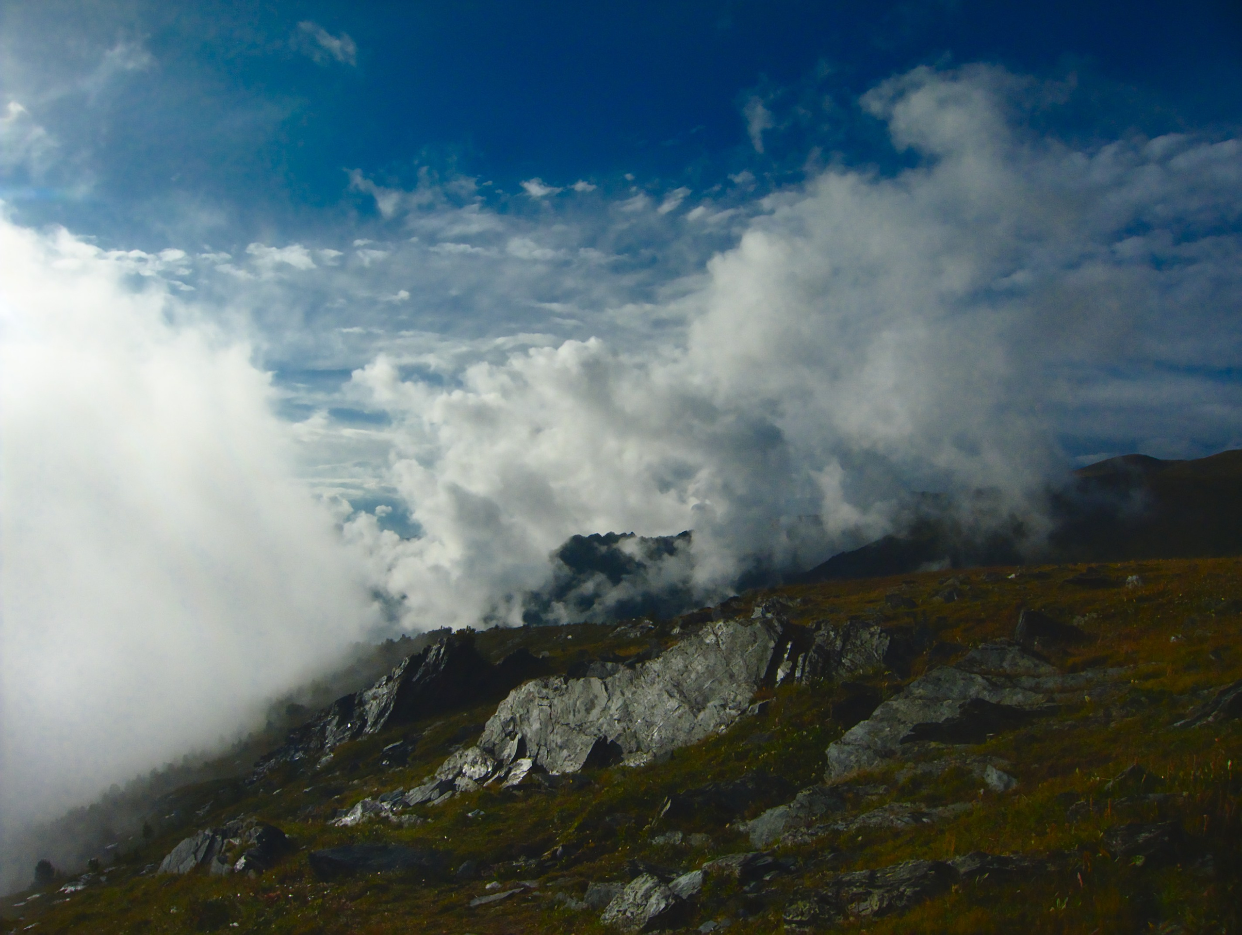 Стоянка «Каменная изба». Фотограф анималист, пейзажист, спортивные мероприятия. Новосибирск