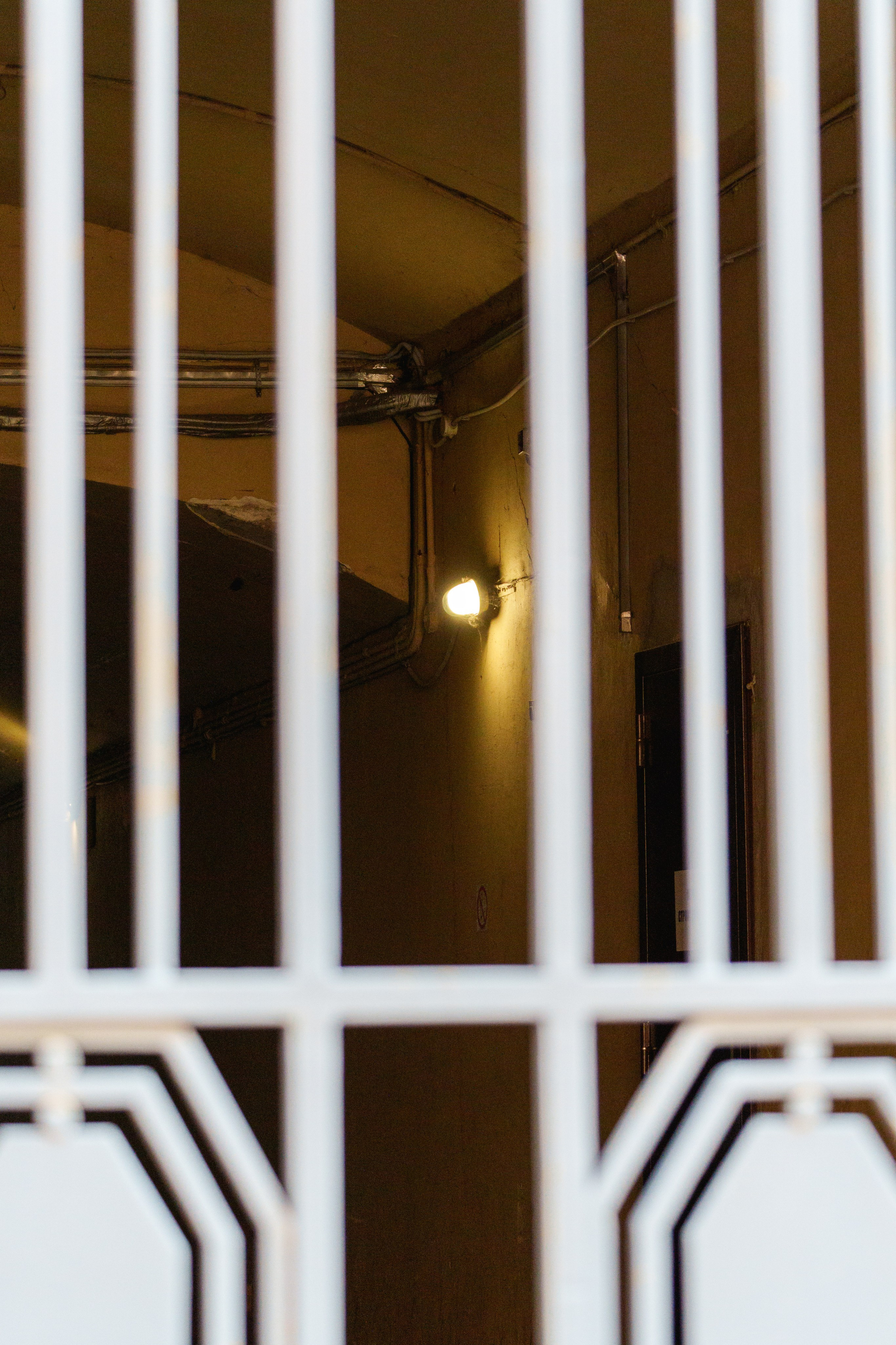 Санкт-Петербург. Фотограф в Санкт-Петербурге Ибрагимова Алина