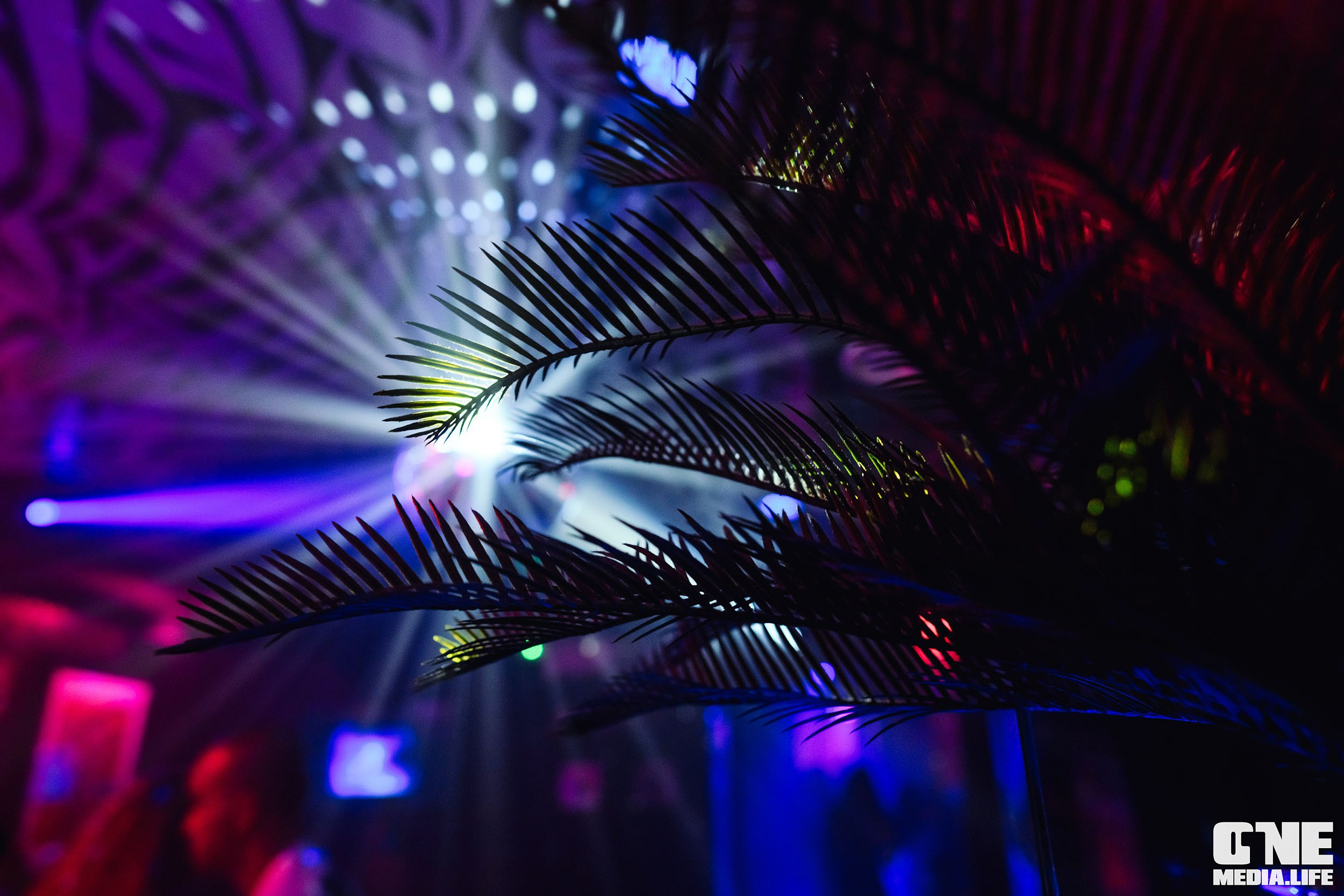 NISHA. One Media Life: фоторепортажи, фотоотчеты с мероприятий и заведений