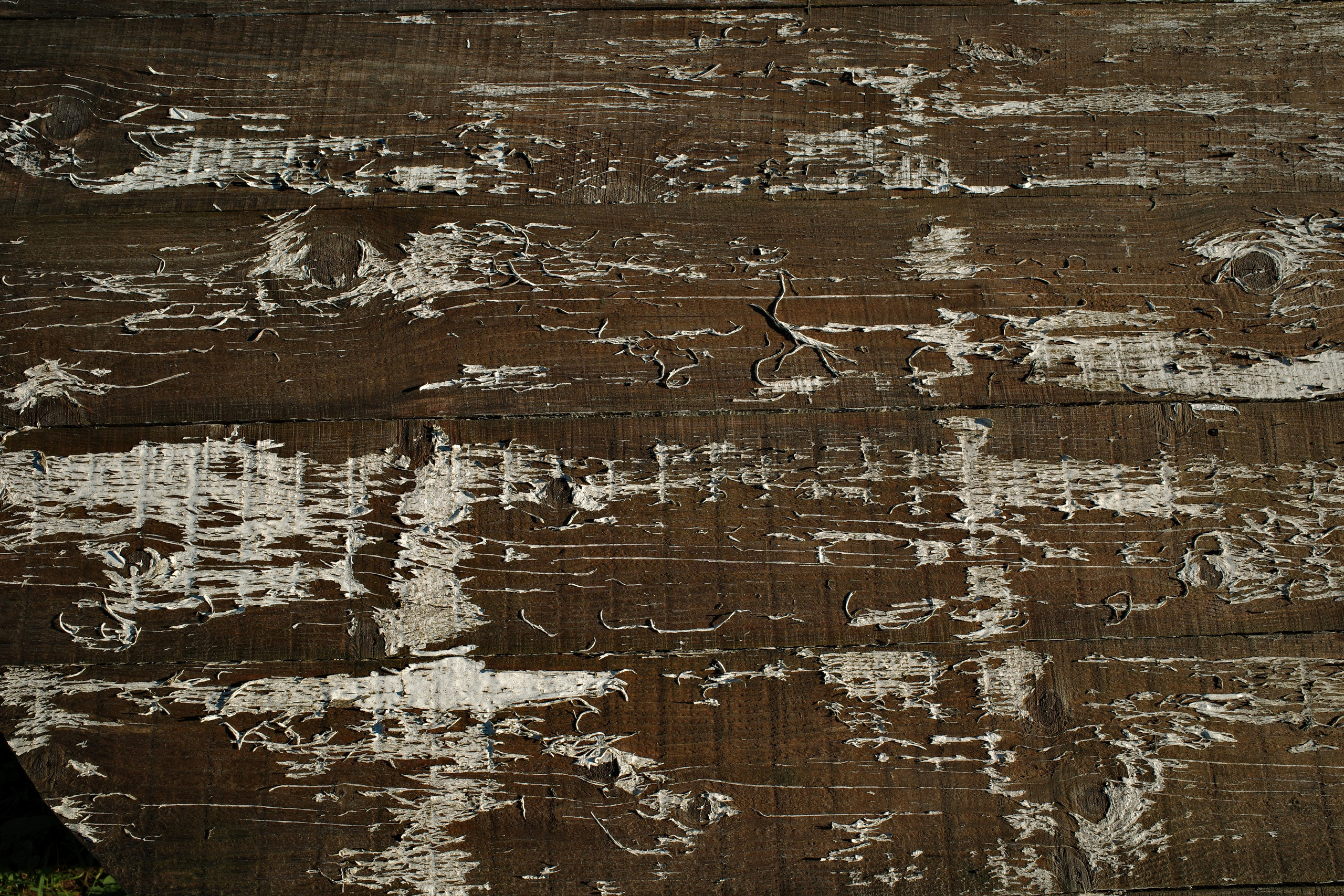 Галерея Ricoh GR3 HDF. Константин Устинов — фотограф