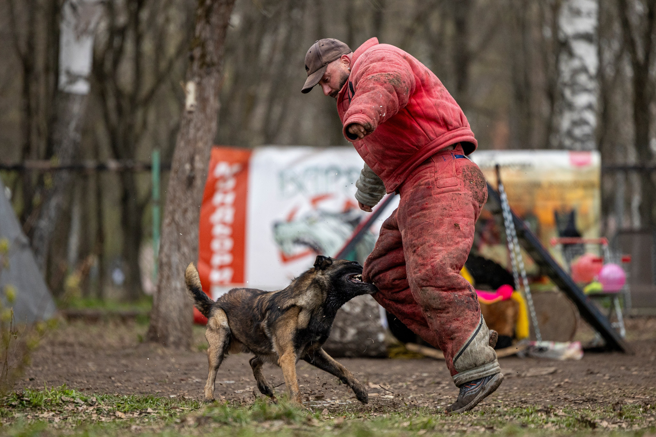 Квалификационные состязания по мондьорингу г. Вологда 11.05.24. Фотограф-анималист Анна Маринич