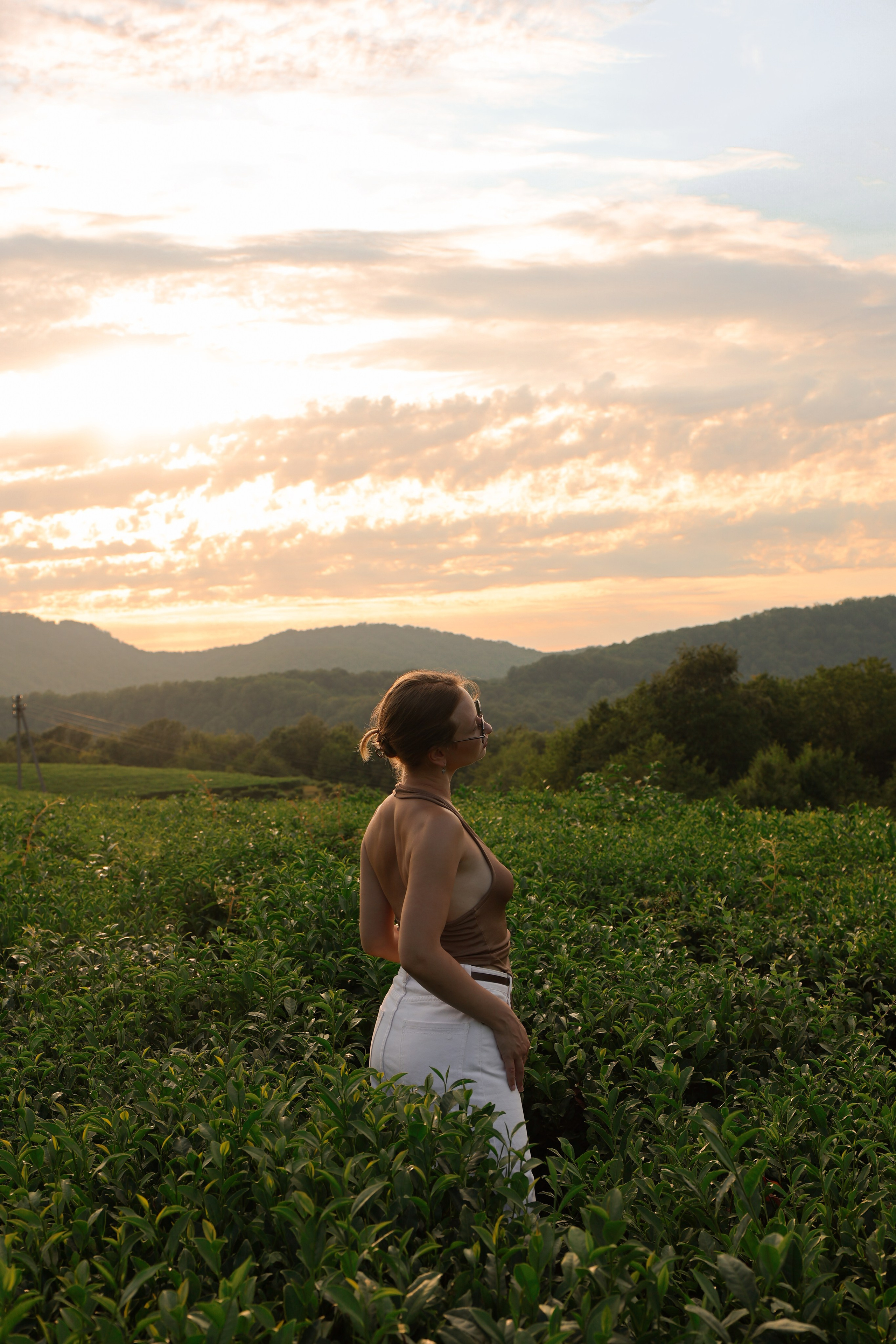 ЧАЙНЫЕ ПЛАНТАЦИИ. Фотограф Москва Оля Олбимак