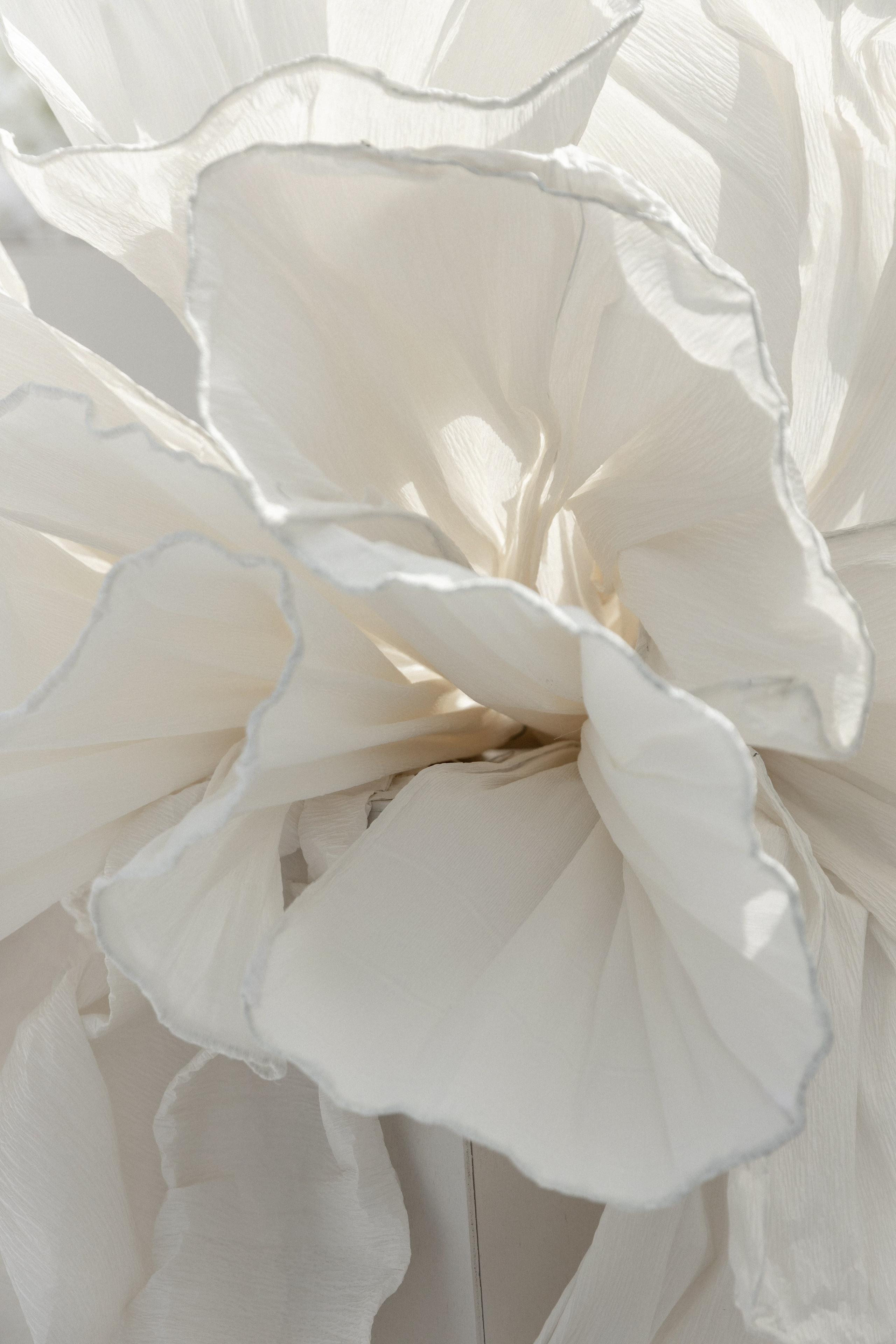 Ксения & Алексей. Свадебный и портретный фотограф в Воронеже Алфёрова Оксана