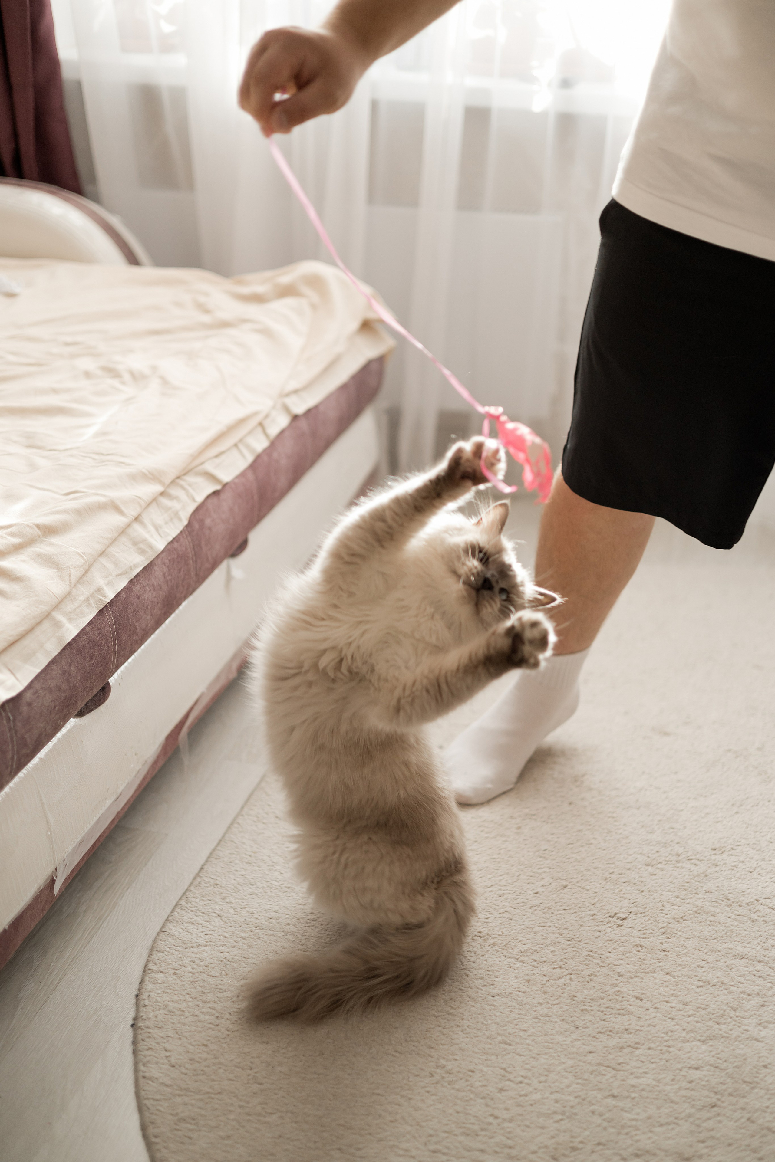 Полина, Коля и Саша. Свадебный фотограф в Пскове и Санкт-Петербурге | Анна Голикова