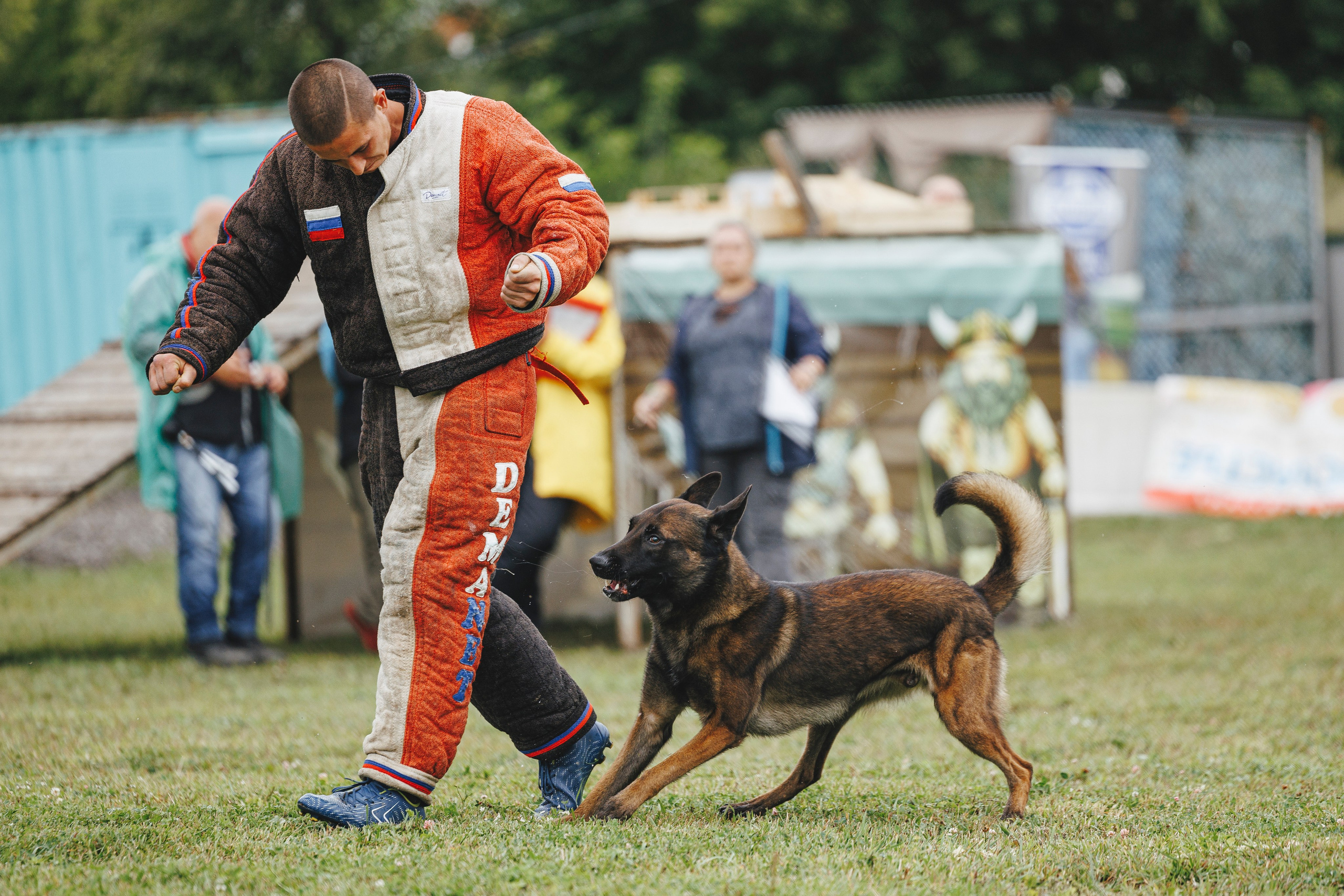 08.08.25-10.08.25 ЧР по мондьорингу г. Вологда. Фотограф-анималист Анна Маринич