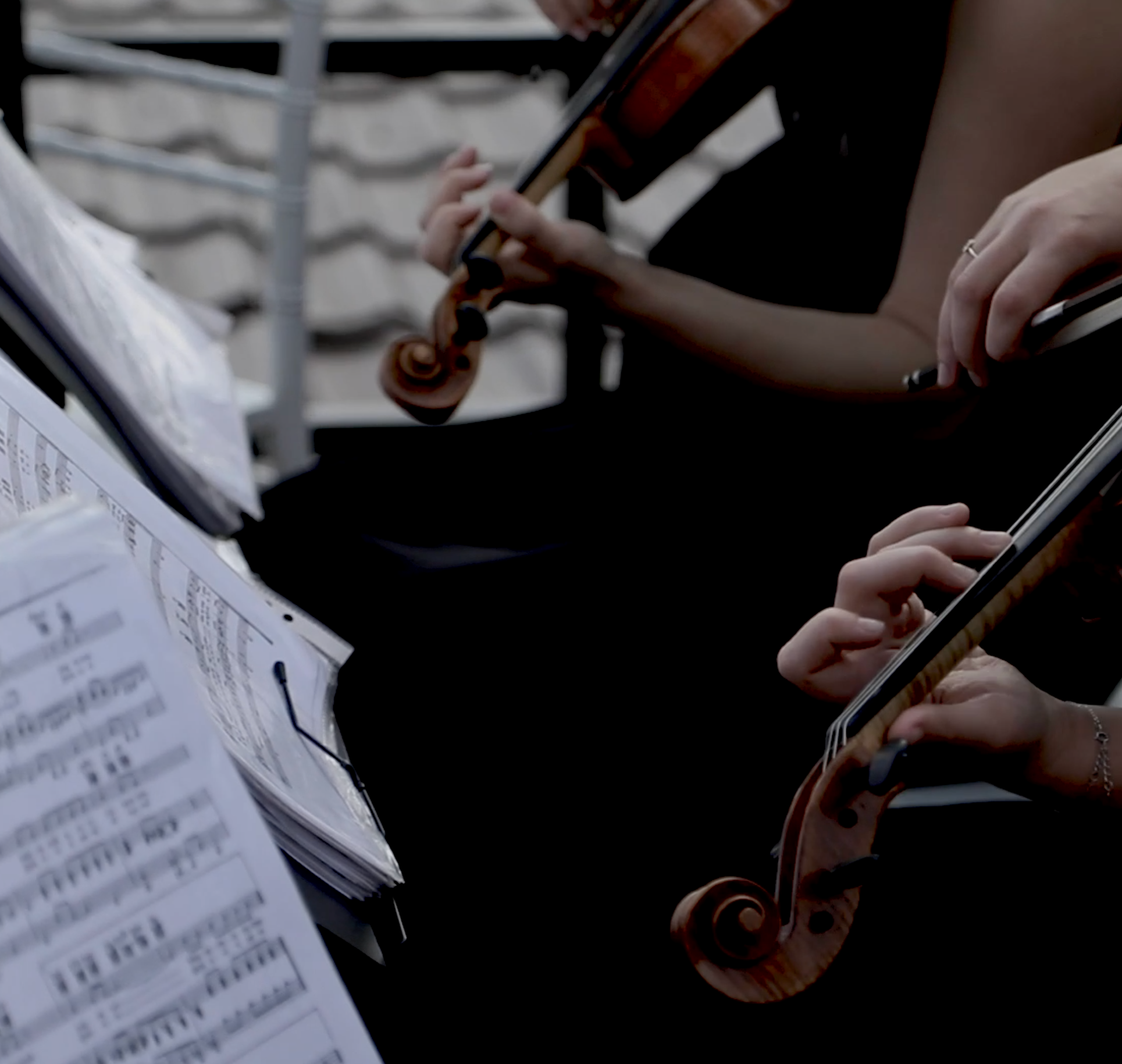 Свадебная видеосъемка. Фото и видеосъемка Москва