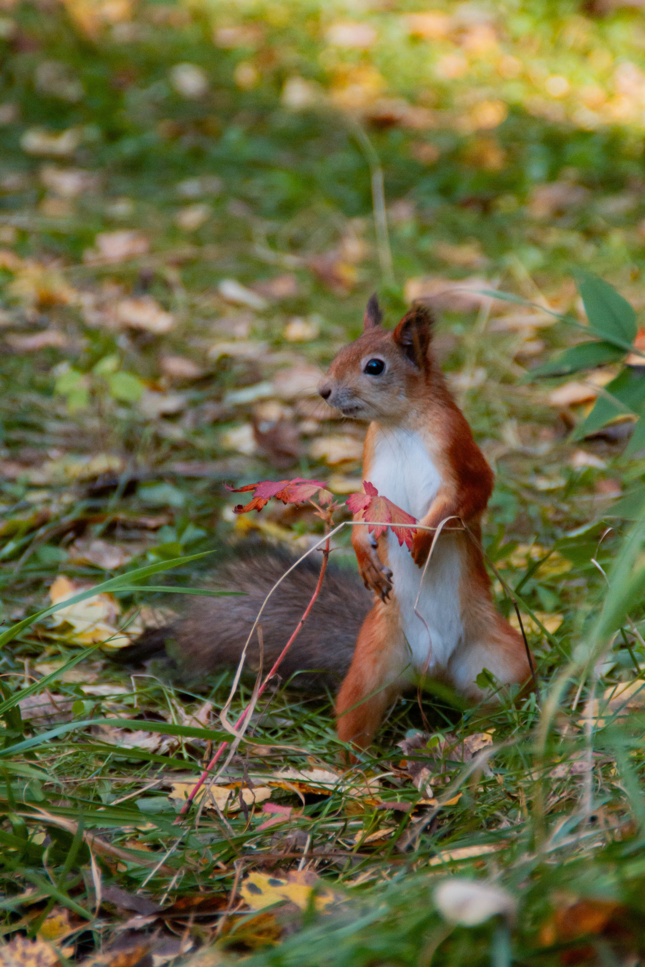 День здоровья в Екатеринбургской академии современного искусства 2025