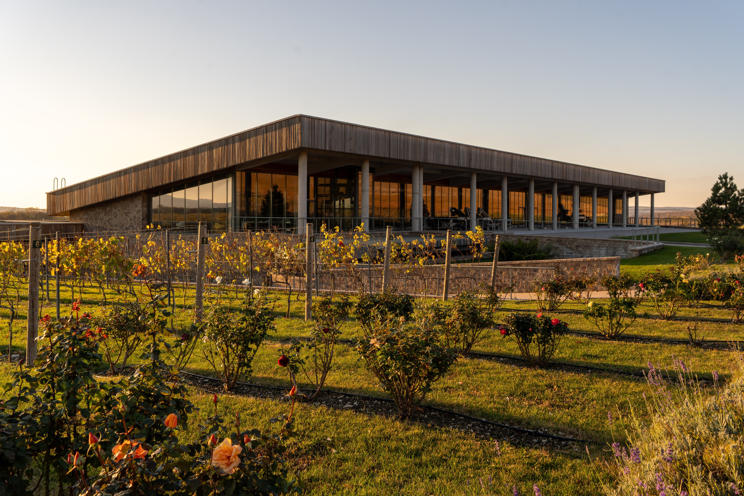 Литературная мастерская с Ольгой Шутовой в «Винотеррии». Репортажный фотограф в Красной Поляне и Сочи Павлюченко Екатерина