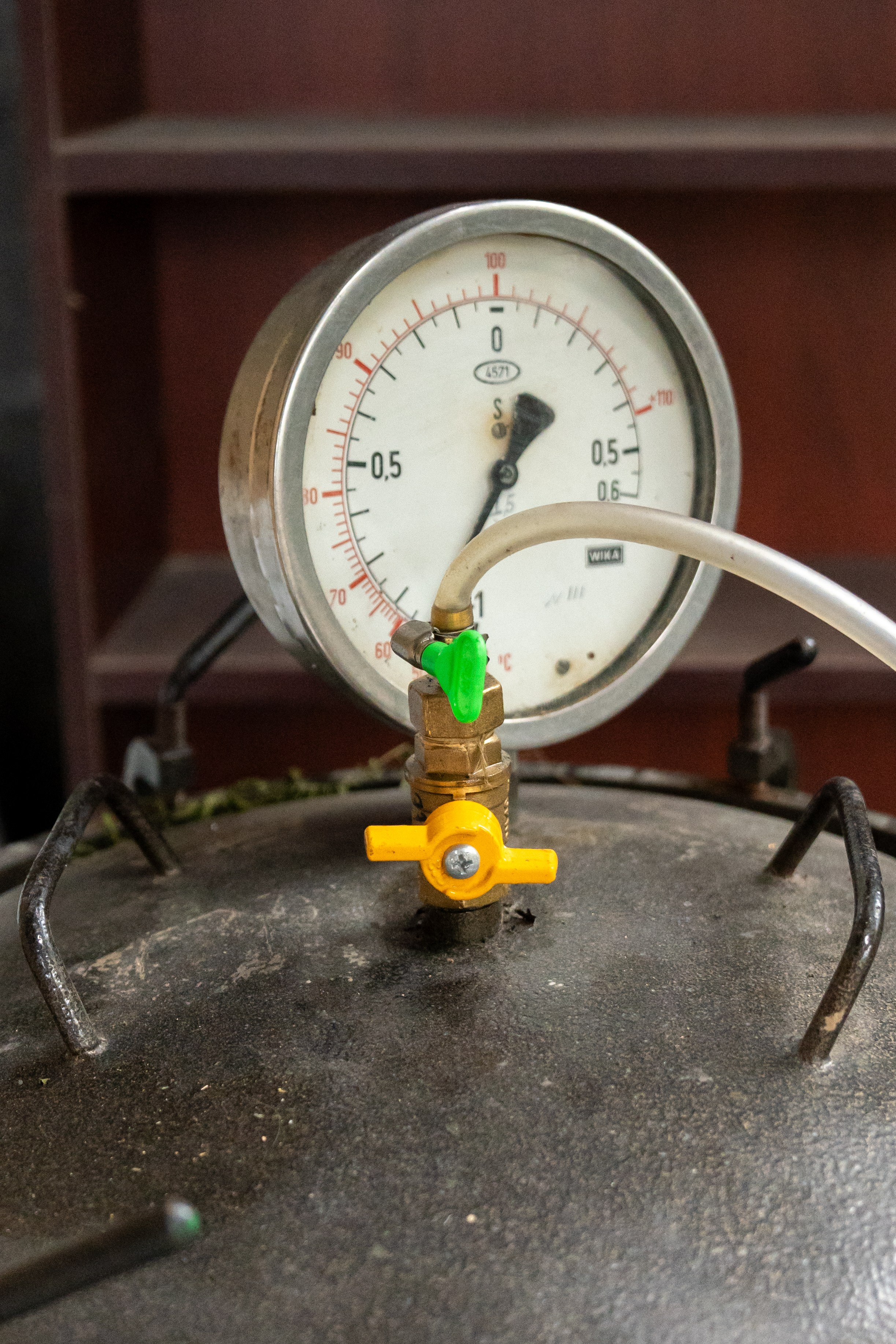 Яндекс.Еда — Сочинский чай. Репортажный фотограф в Красной Поляне и Сочи Павлюченко Екатерина