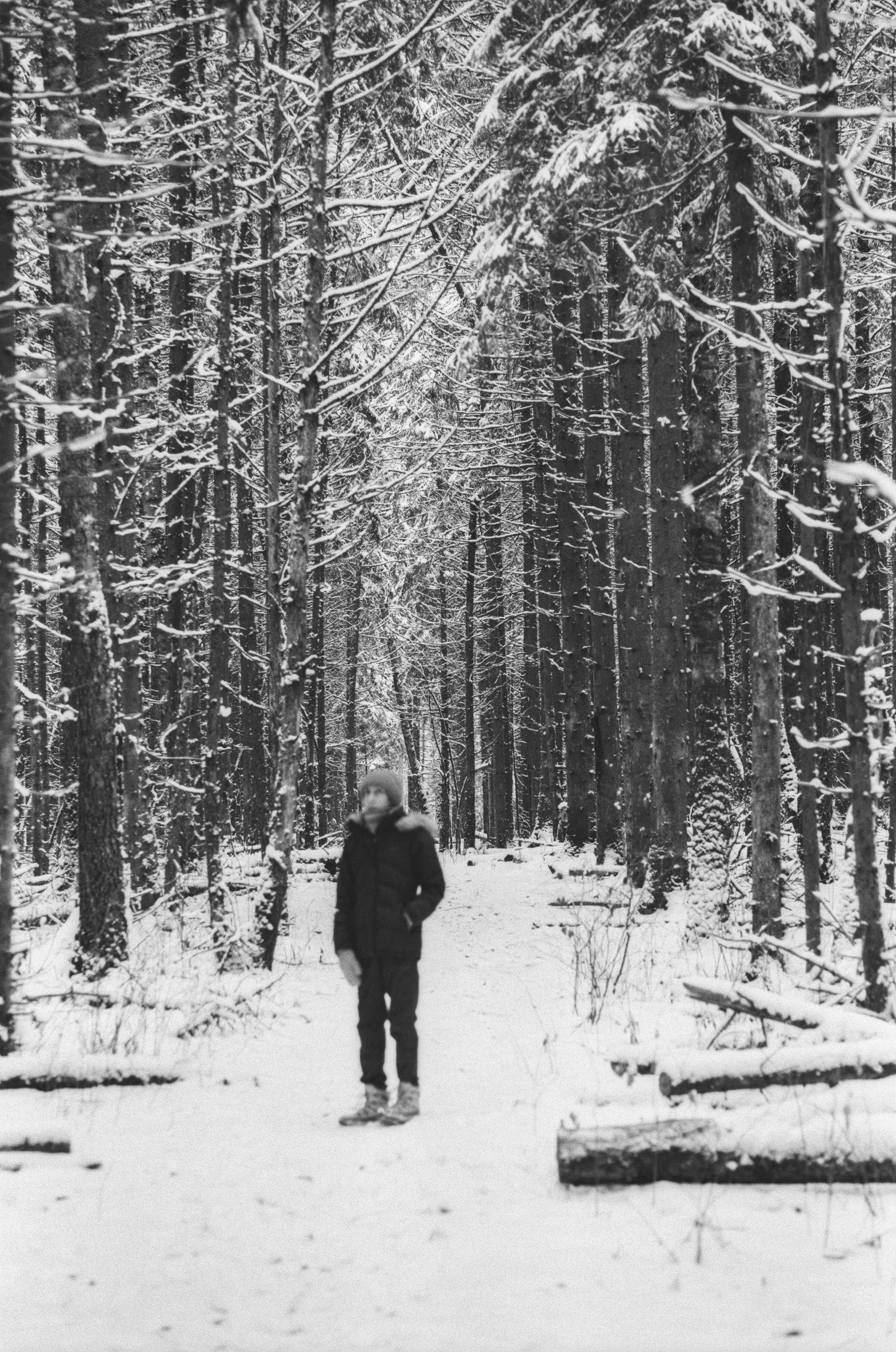 Contax N1 / Carl Zeiss Makro Sonnar 100 mm f/2.8 / Давыдовское